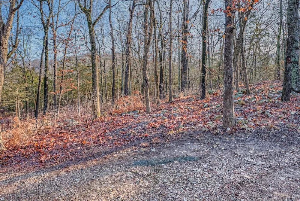 Property at 781  Nc 3421 - Image 32