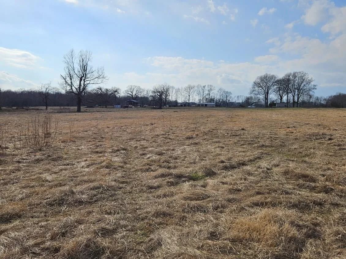 Property at 8  Van marion - Image 30