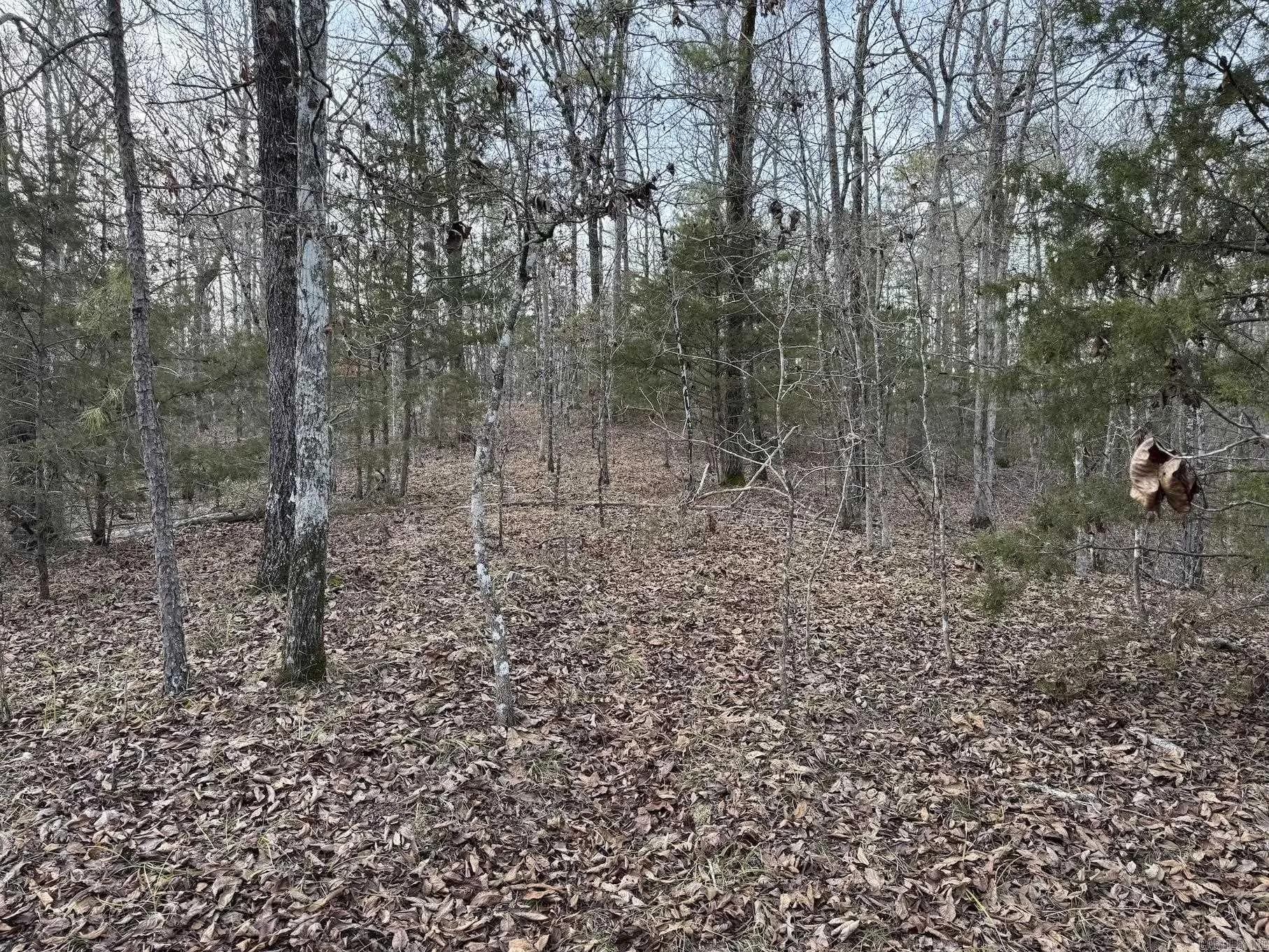 Property at 29  Hidden cove  Lot 10 - Image 7