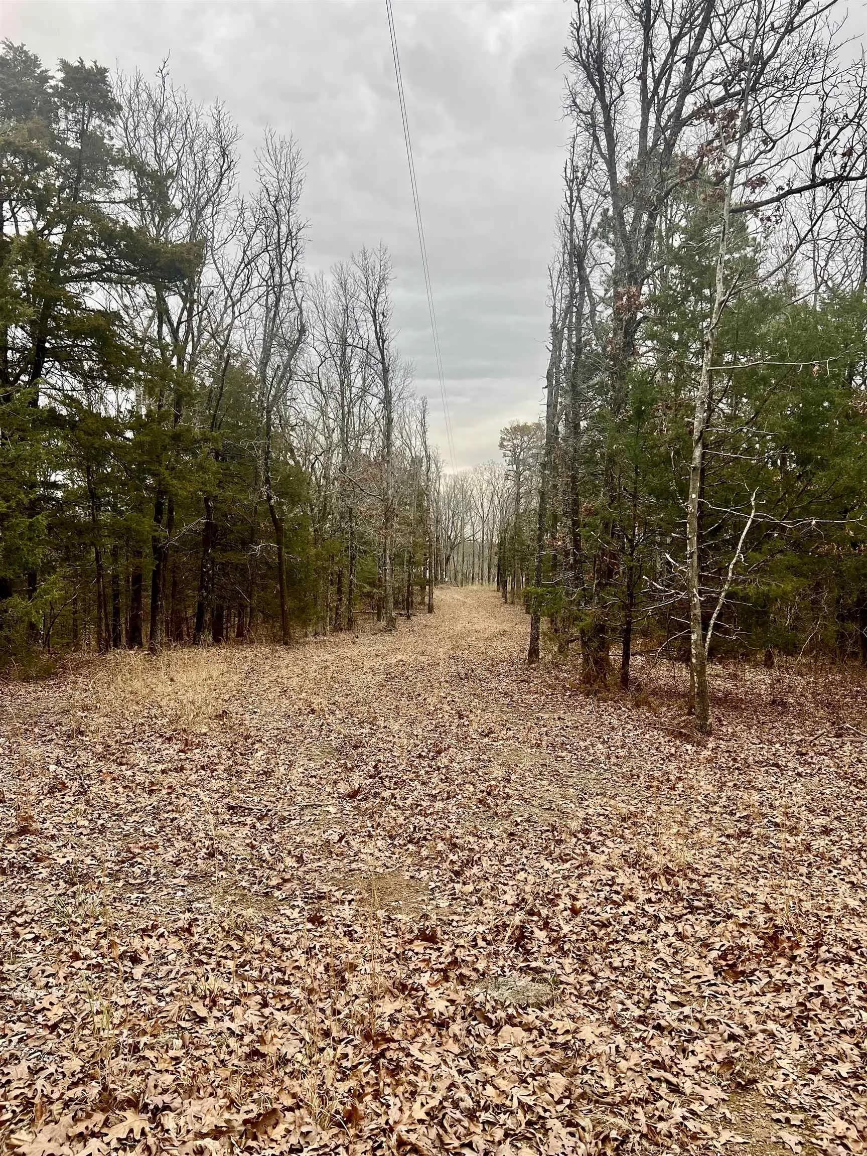 Property at 829  Long branch - Image 6