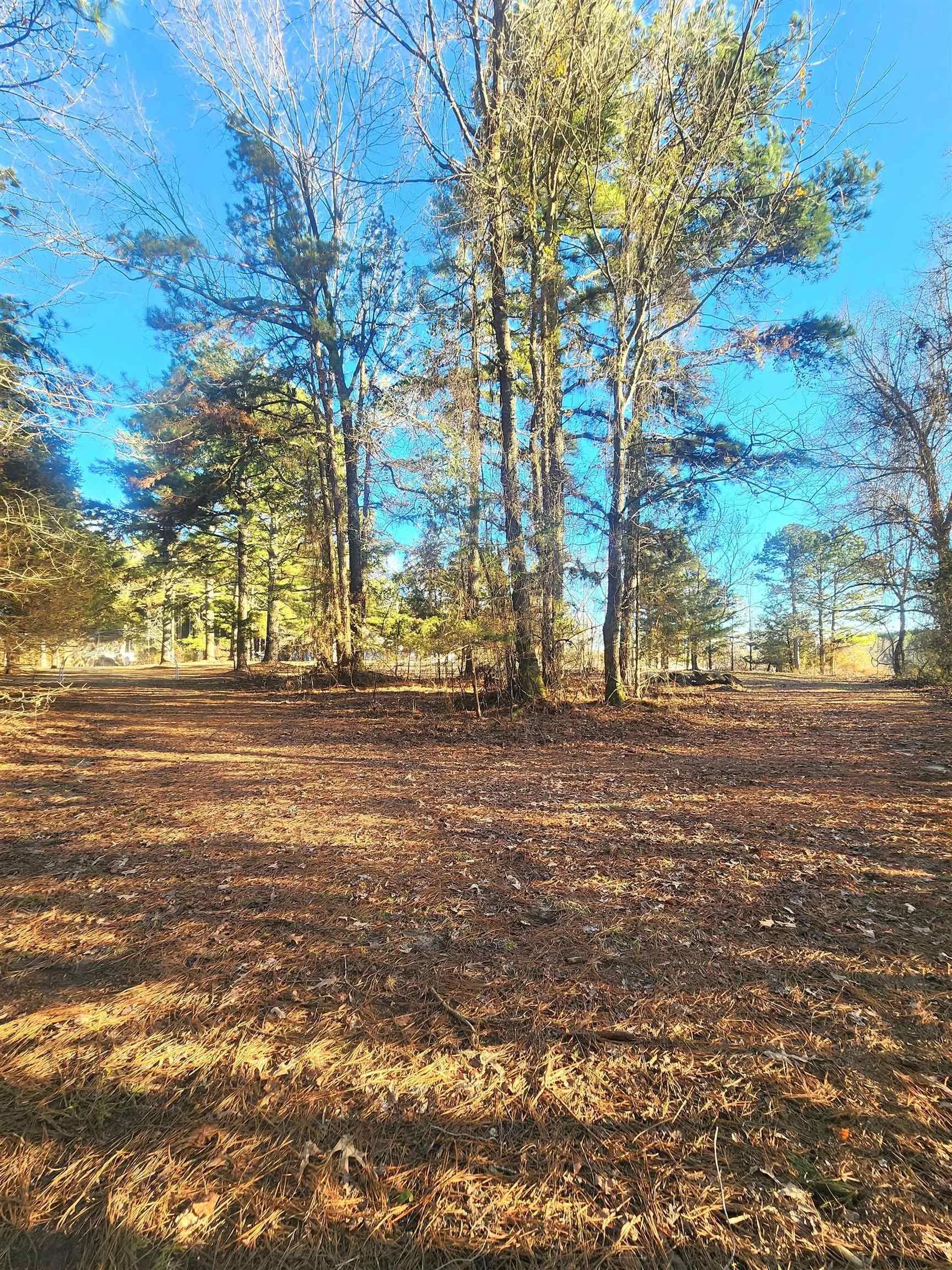 Property at 800  Polk road 32 - Image 43