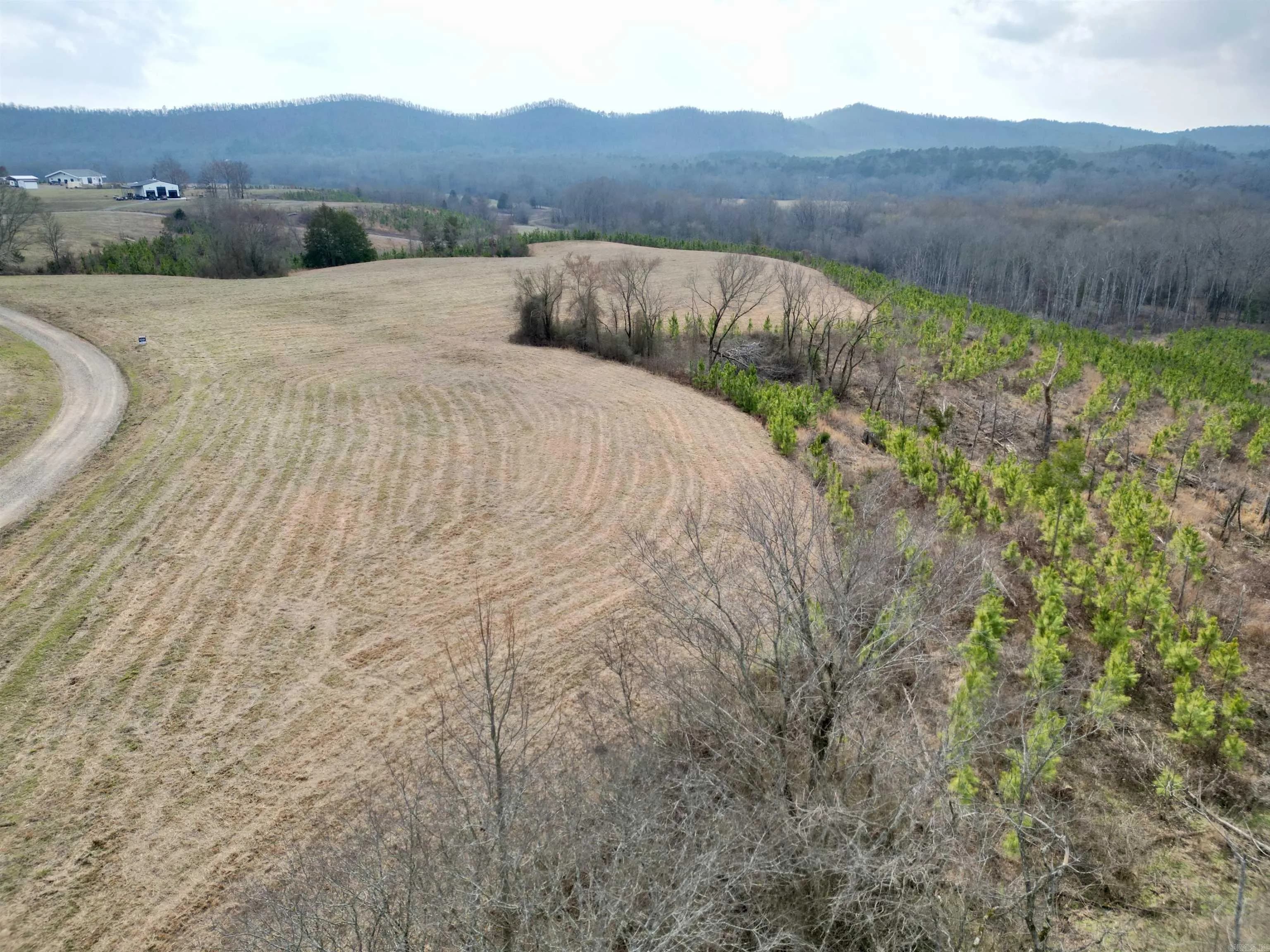 Property at tract 10  Polk road 684 - Image 5