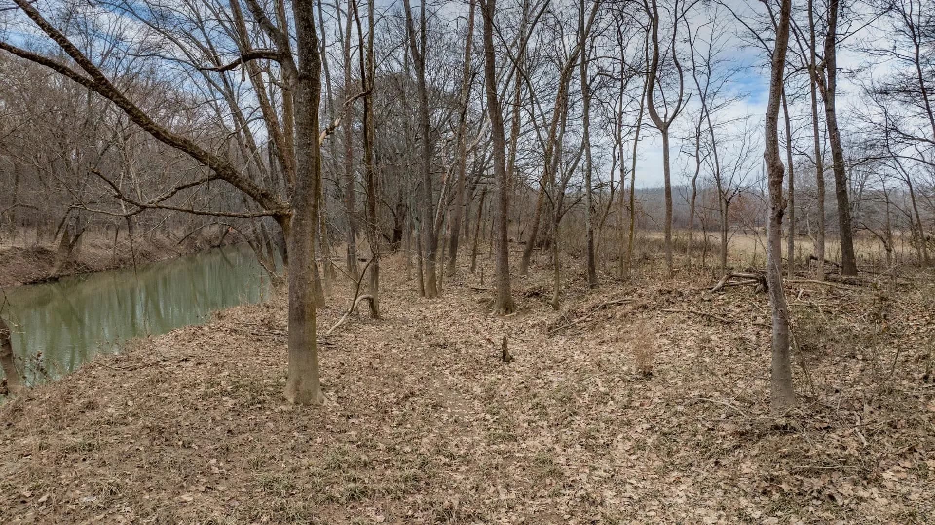 Property at 21  Ridgefield cove - Image 17