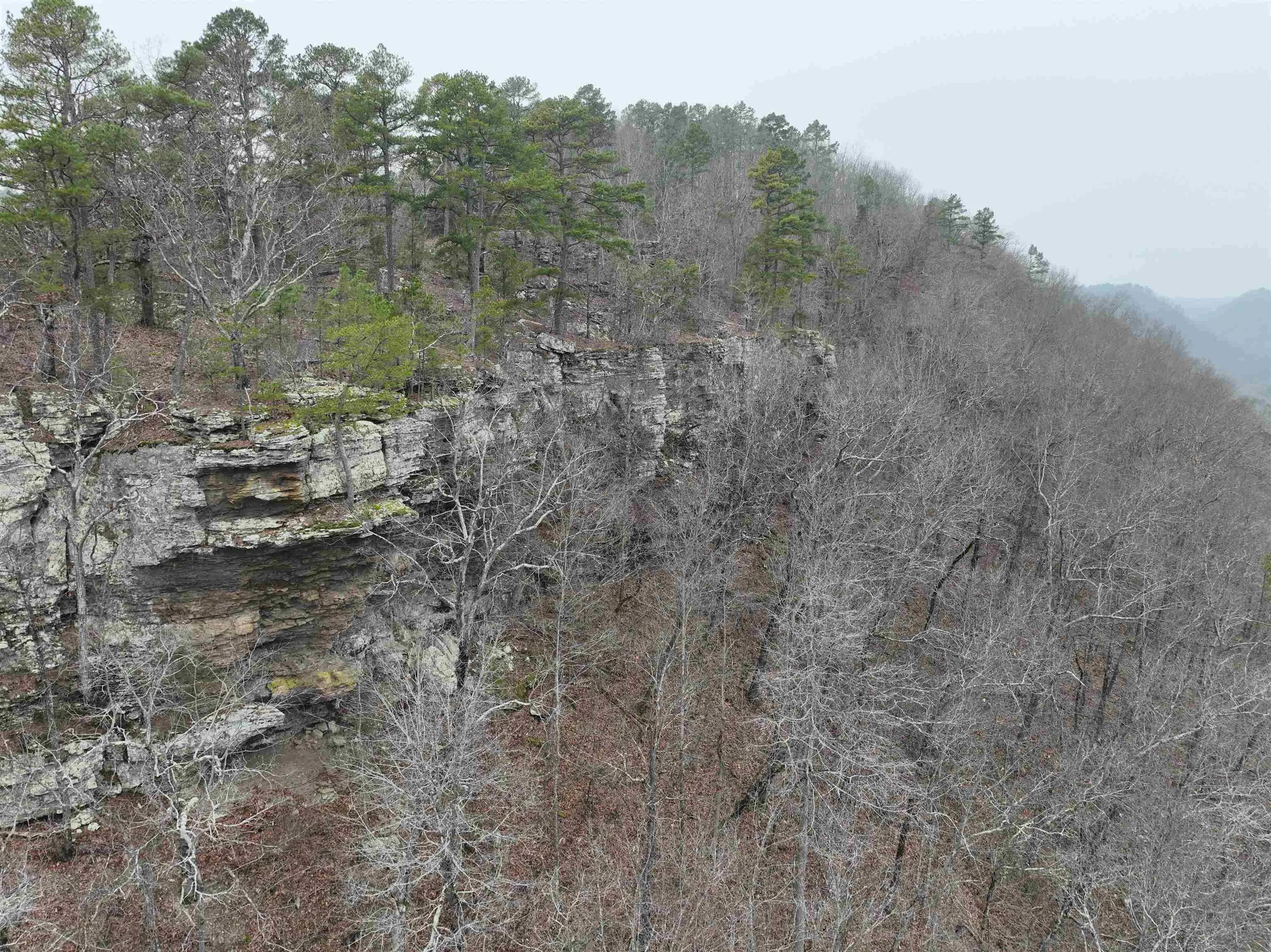 Property at 2388  Mcelroy - Image 23