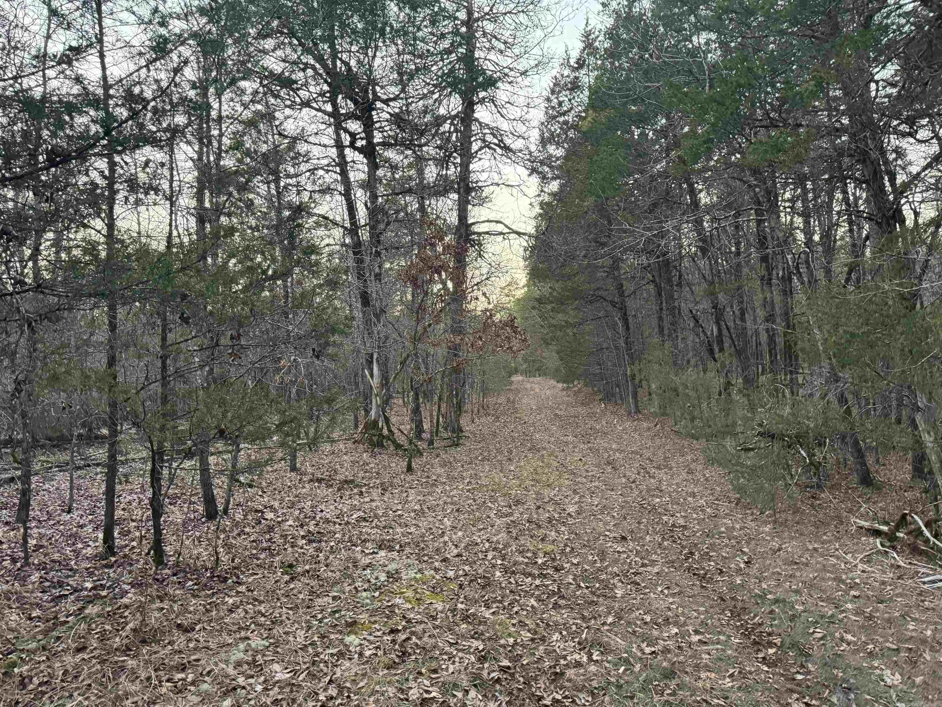 Property at 214  Dearmon - Image 8