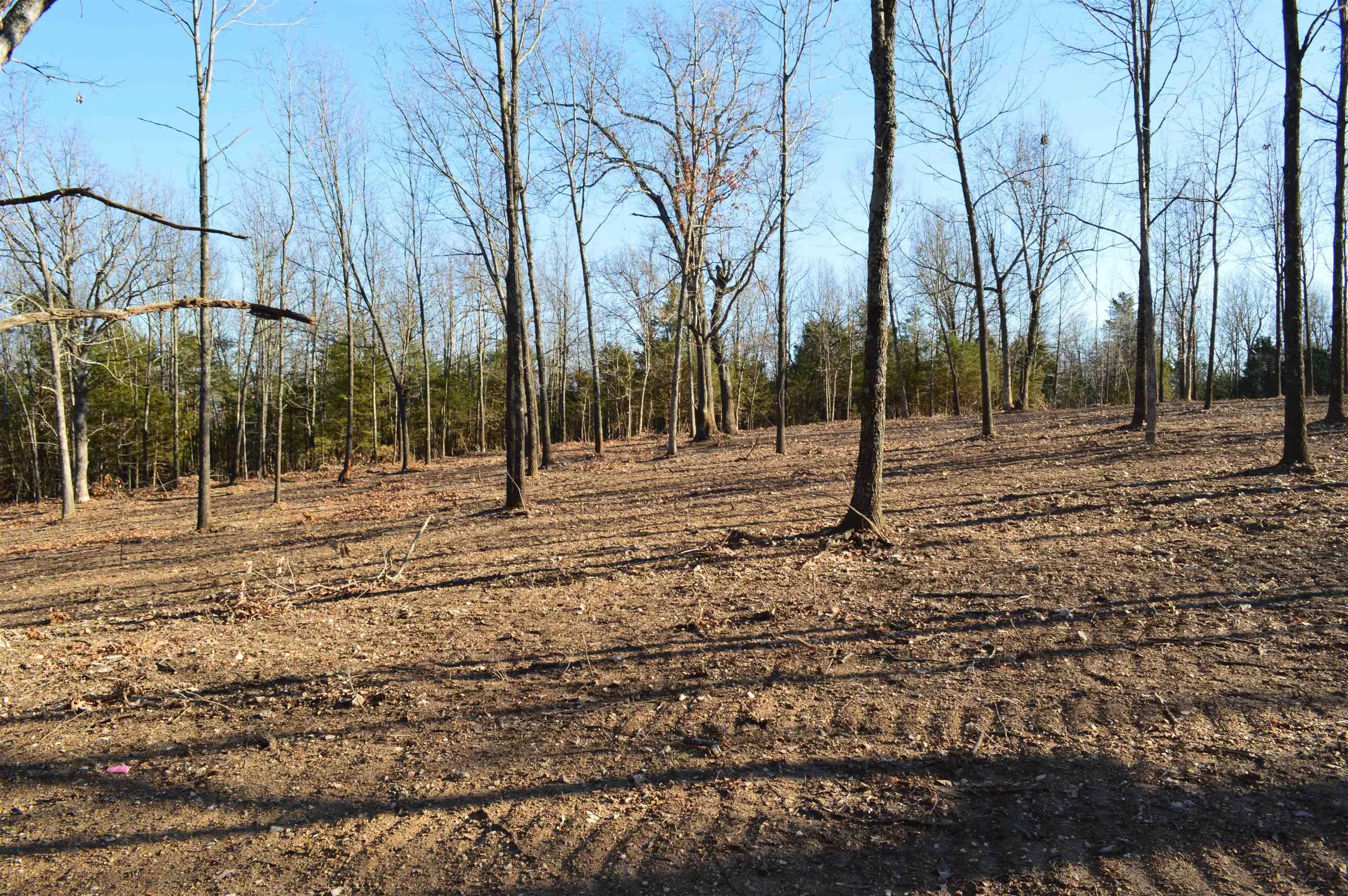 Property at Lots 16/17  Pecks - Image 5