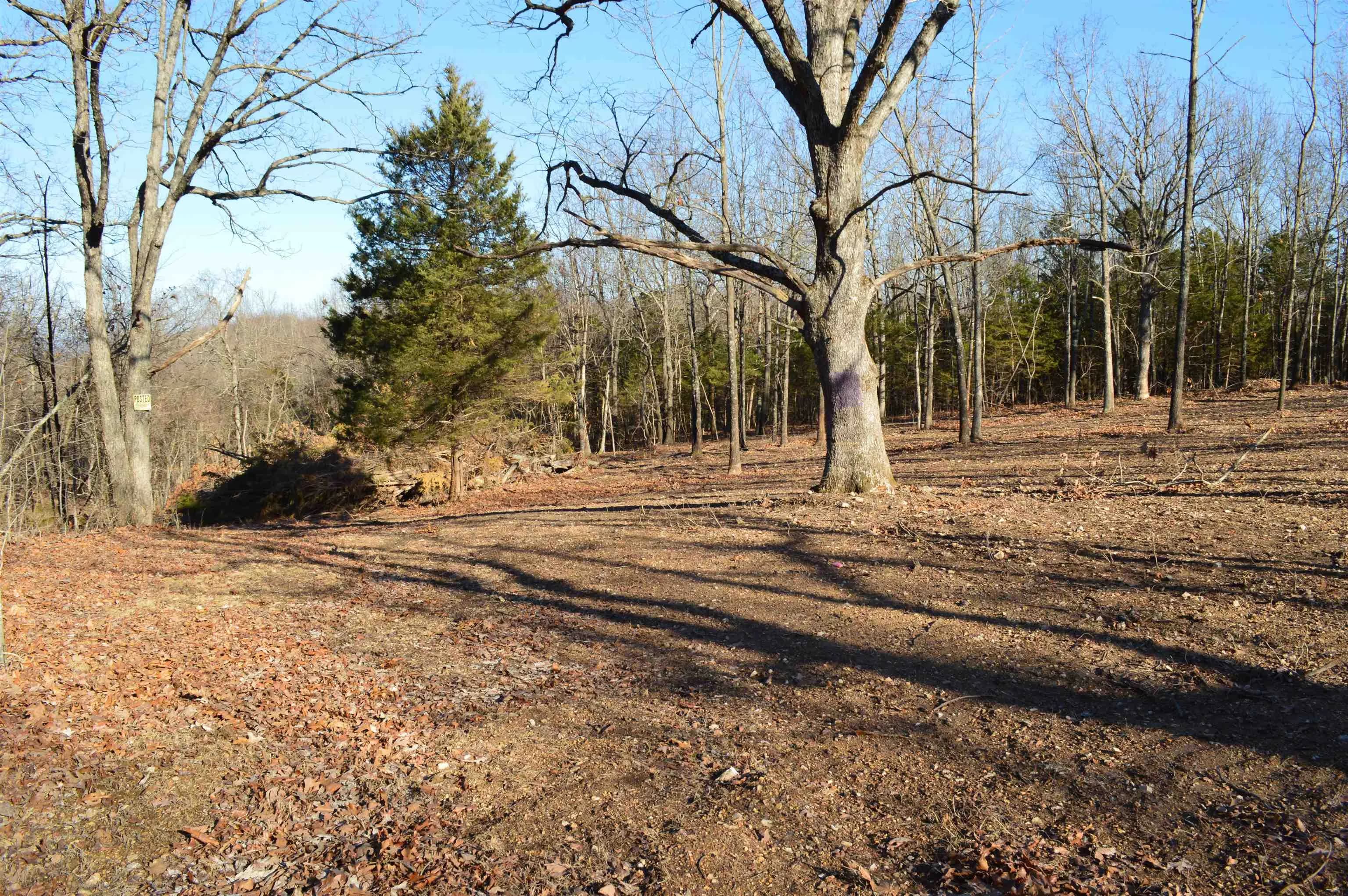 Property at Lots 16/17  Pecks - Image 7