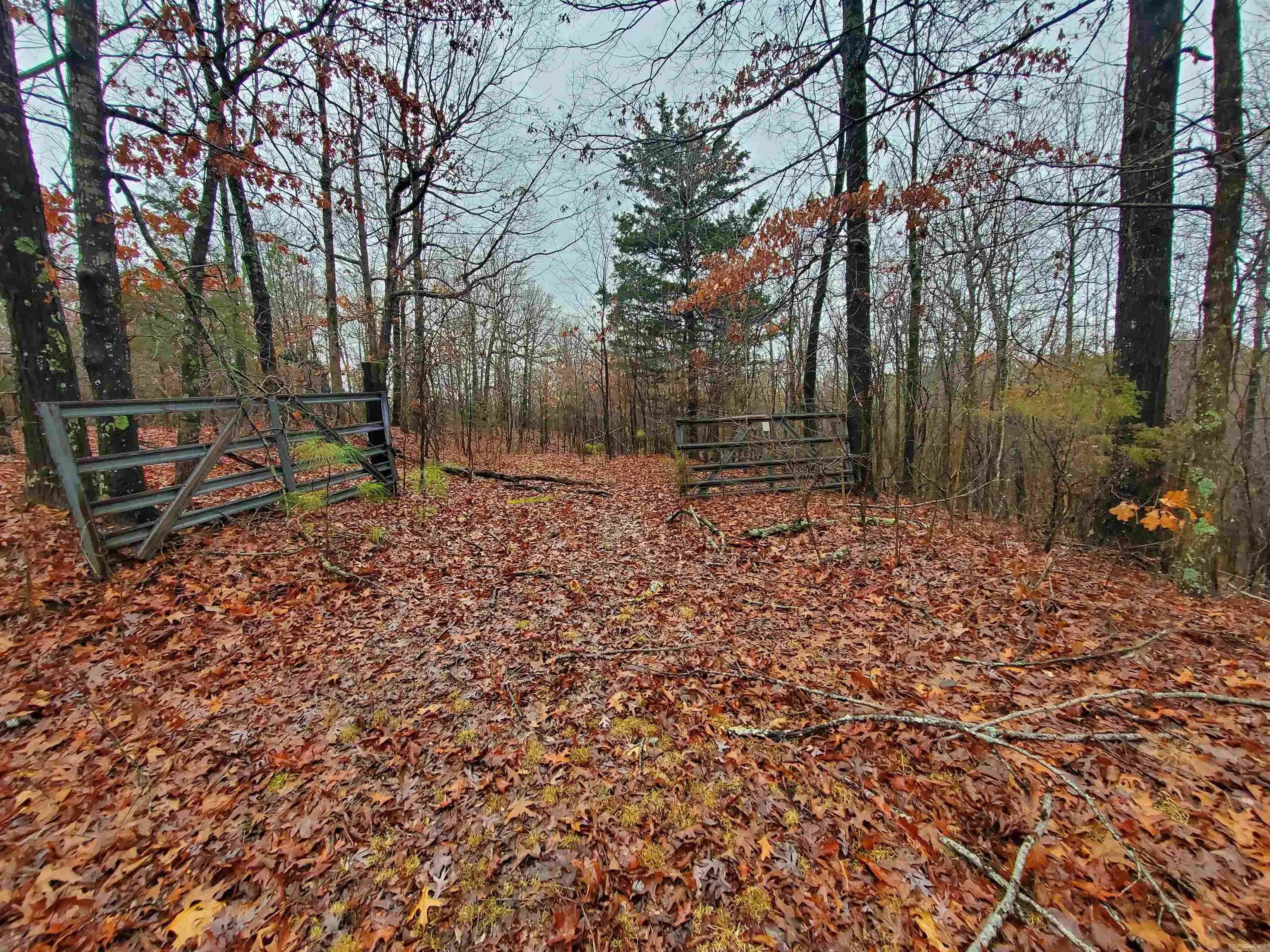 Property at Cr 331 hwy 62 - Image 29