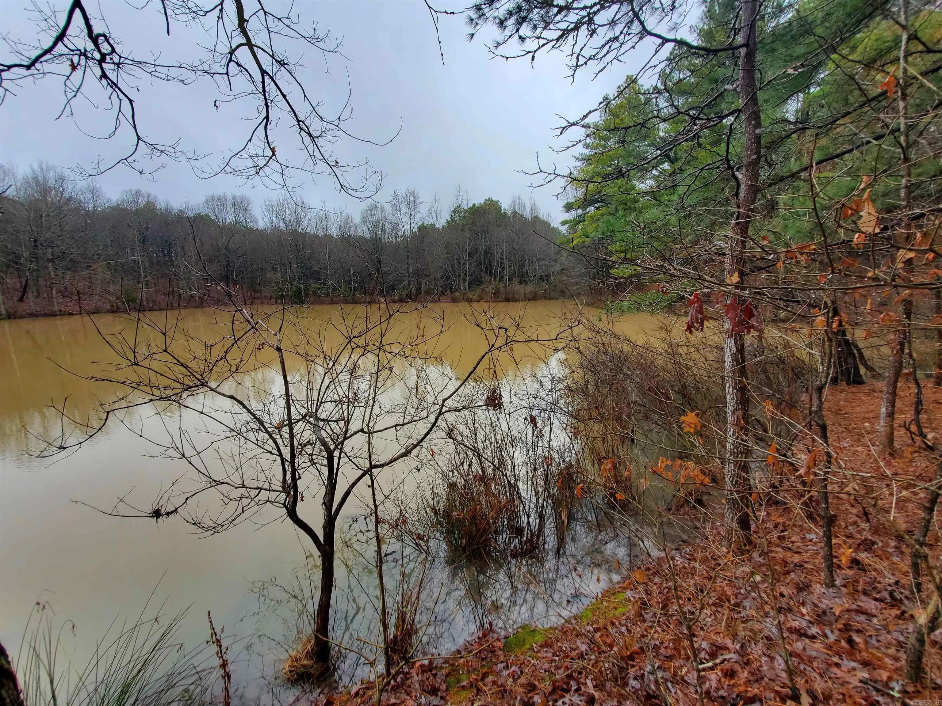 Property at Cr 331 hwy 62 - Image 27