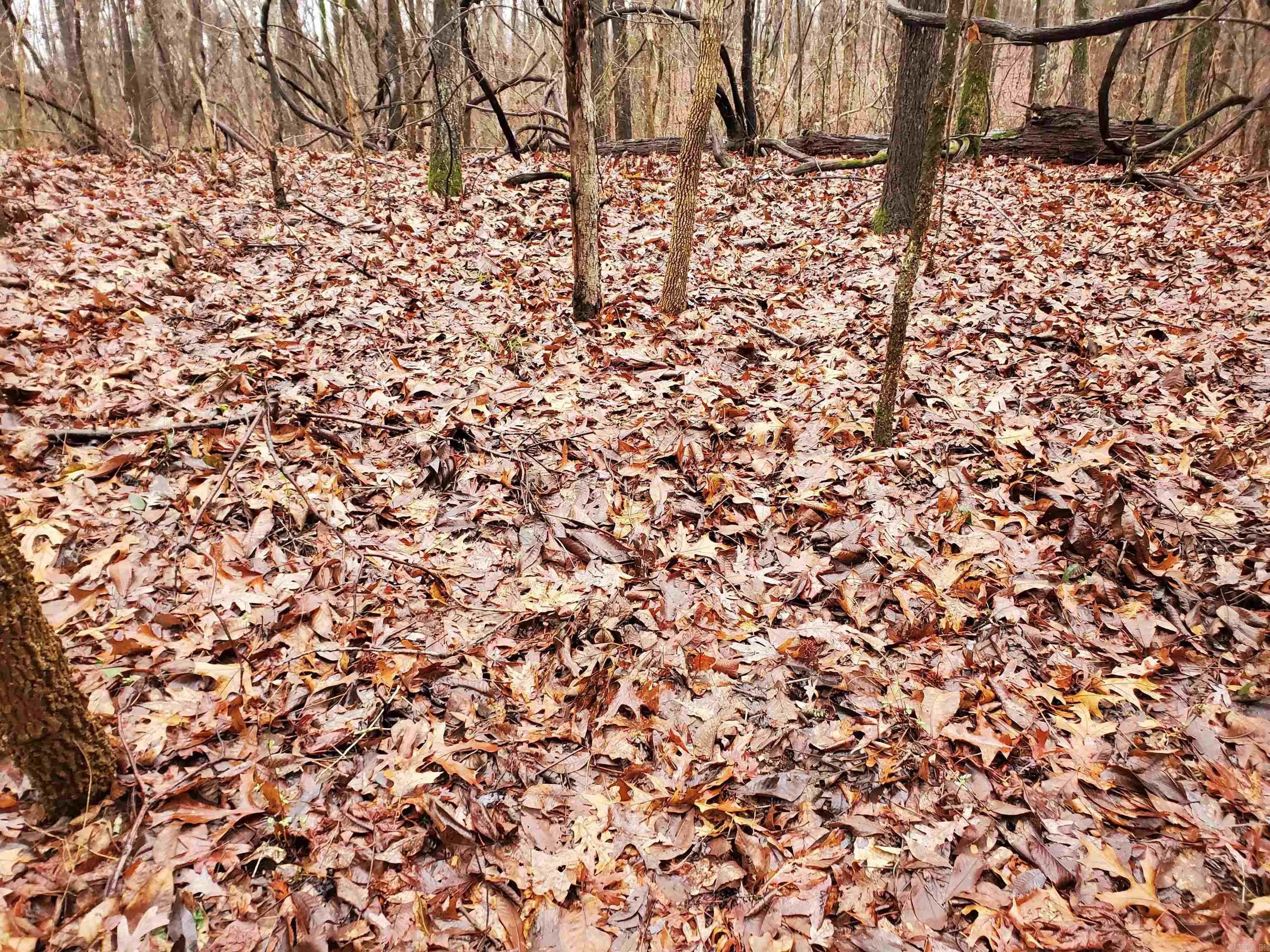 Property at Cr 331 hwy 62 - Image 17