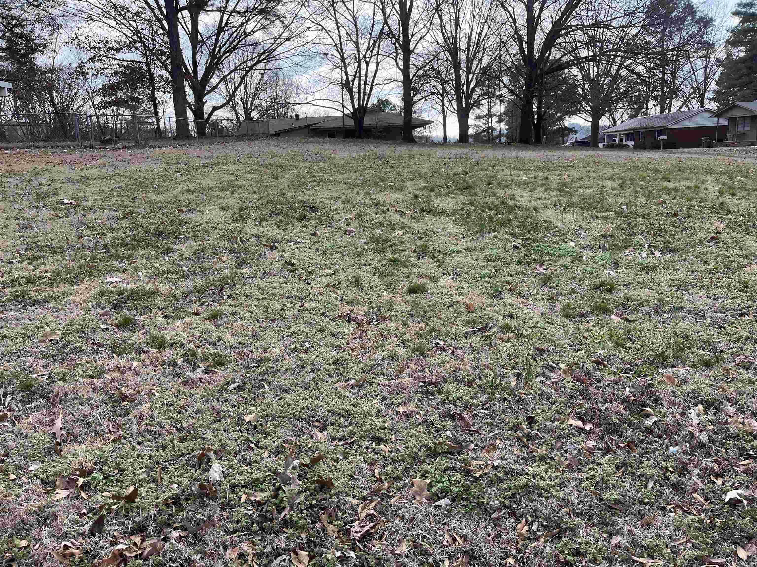 Property at Maple - Image 2