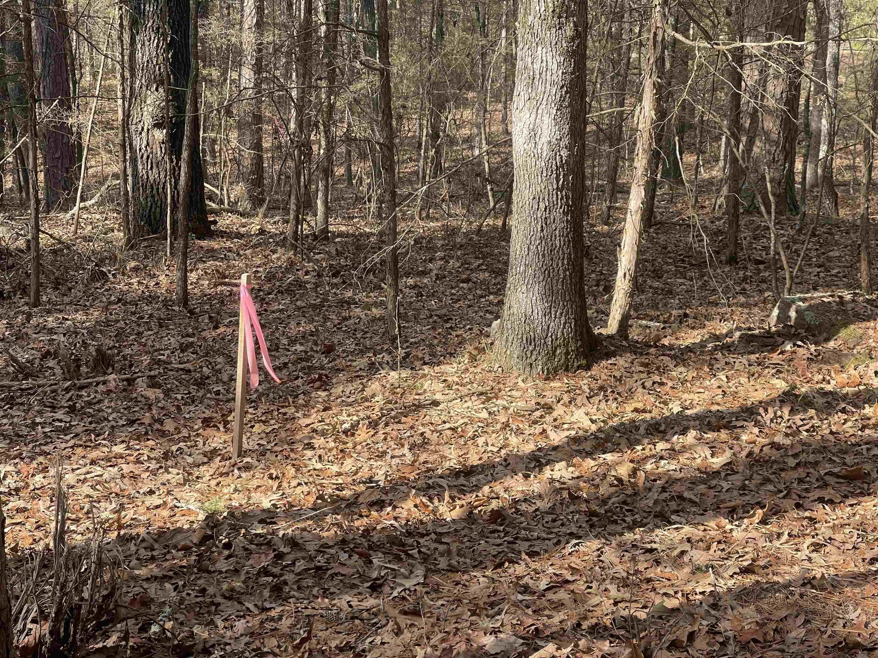 Property at Lot 78  Tannenbaum rd. - Image 4