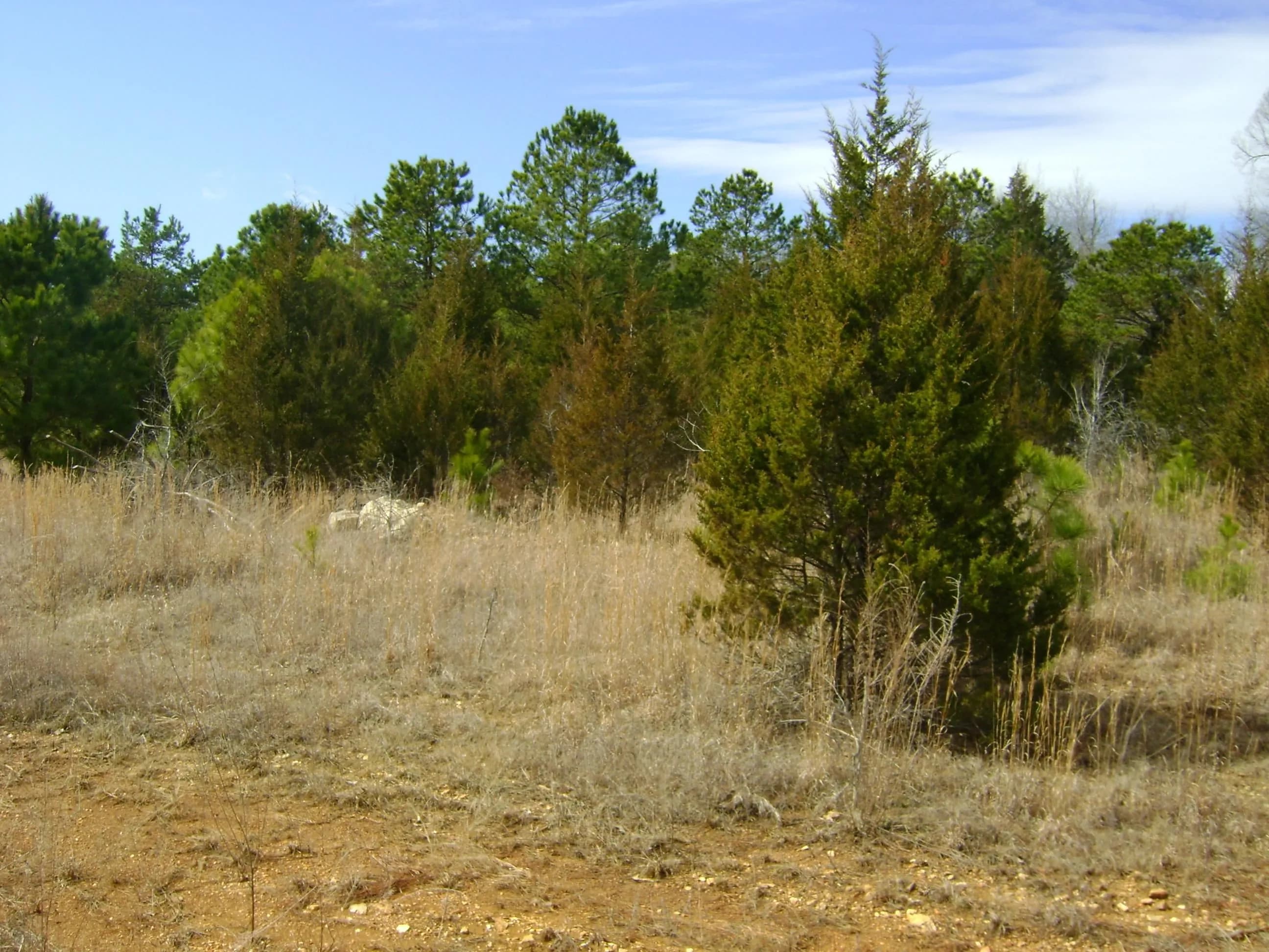 Property at 206 & 208  Wedge road - Image 15