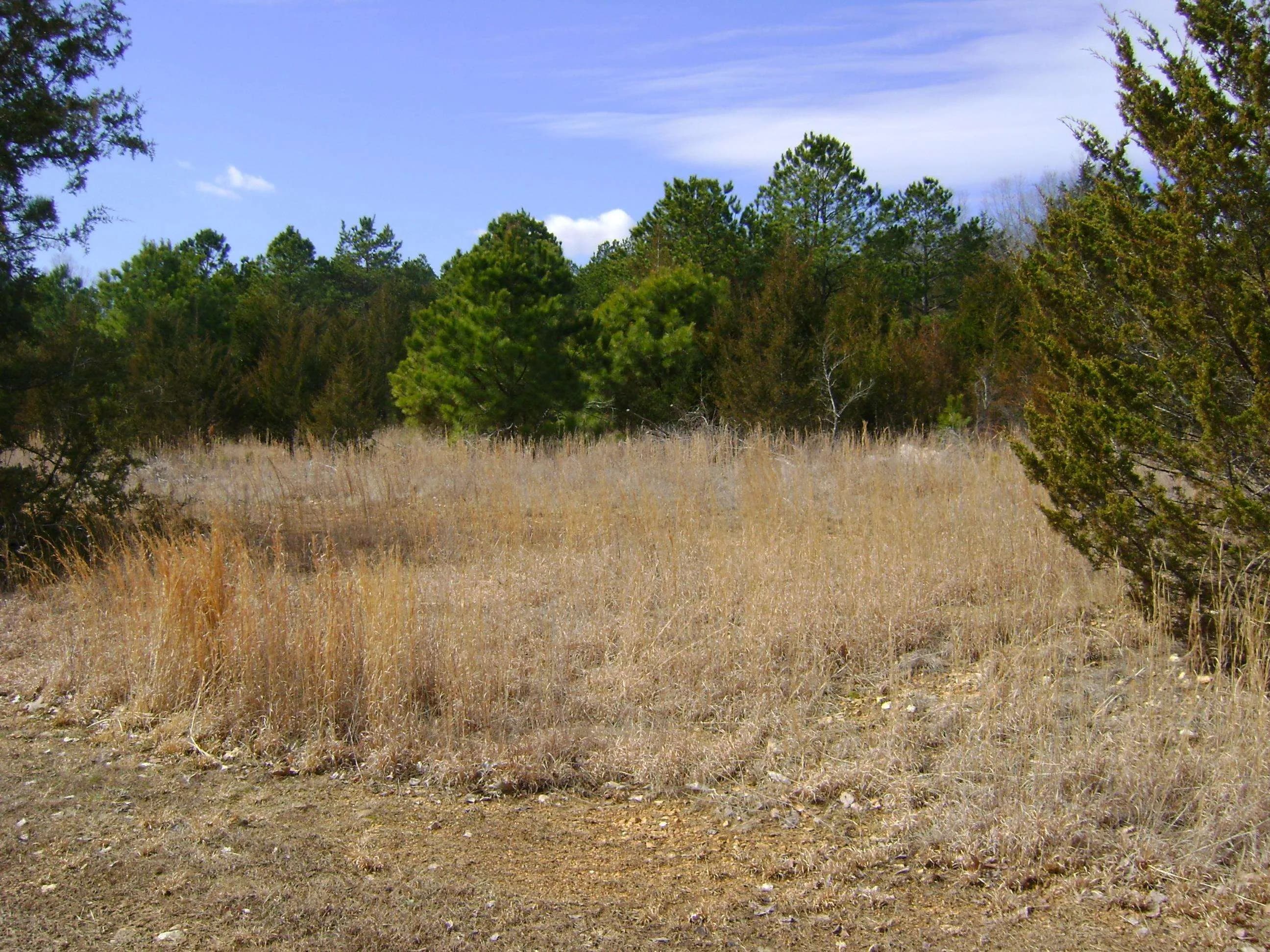 Property at 206 & 208  Wedge road - Image 11