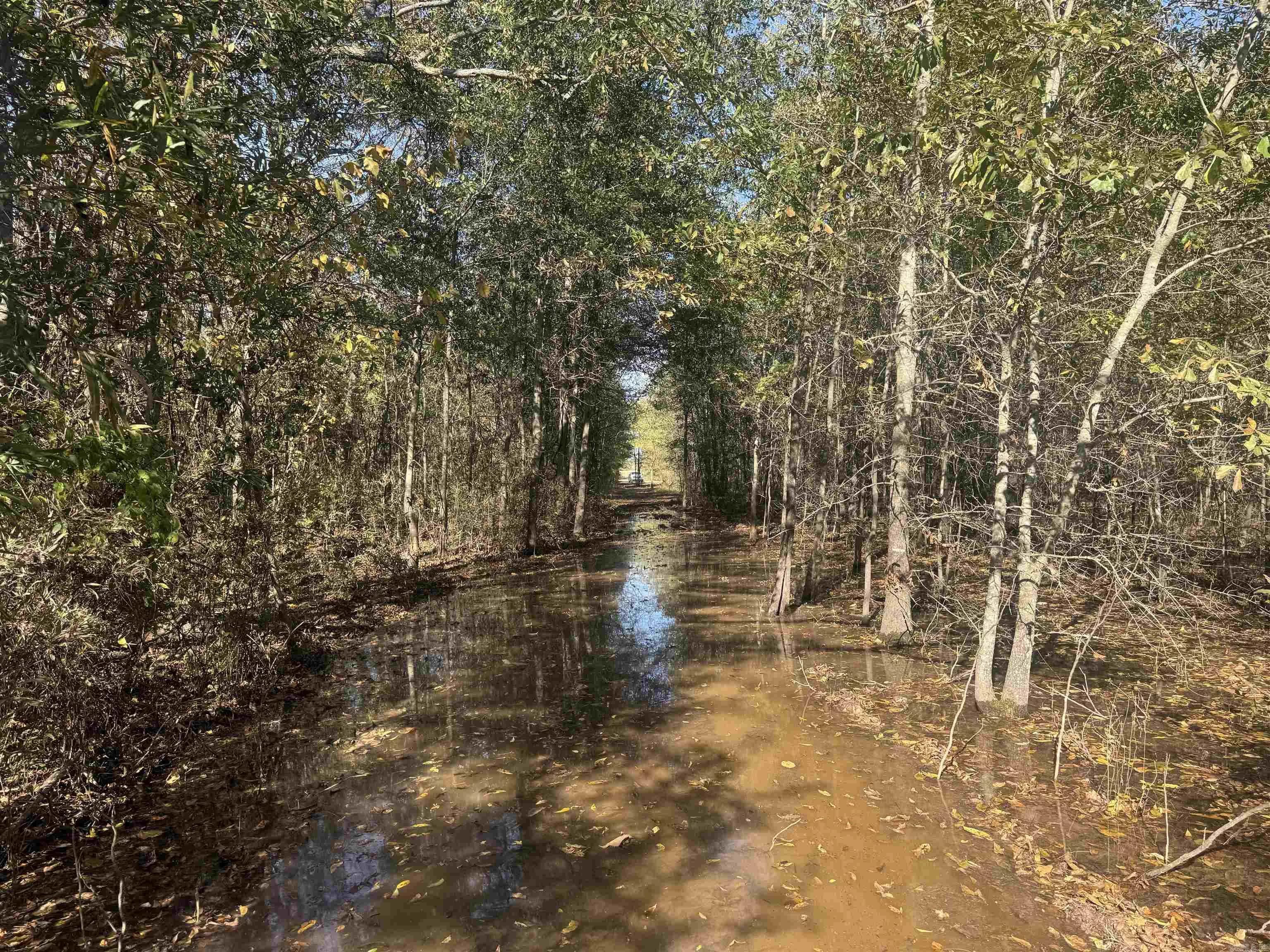 Property at 000  Alex brown rd - Image 24