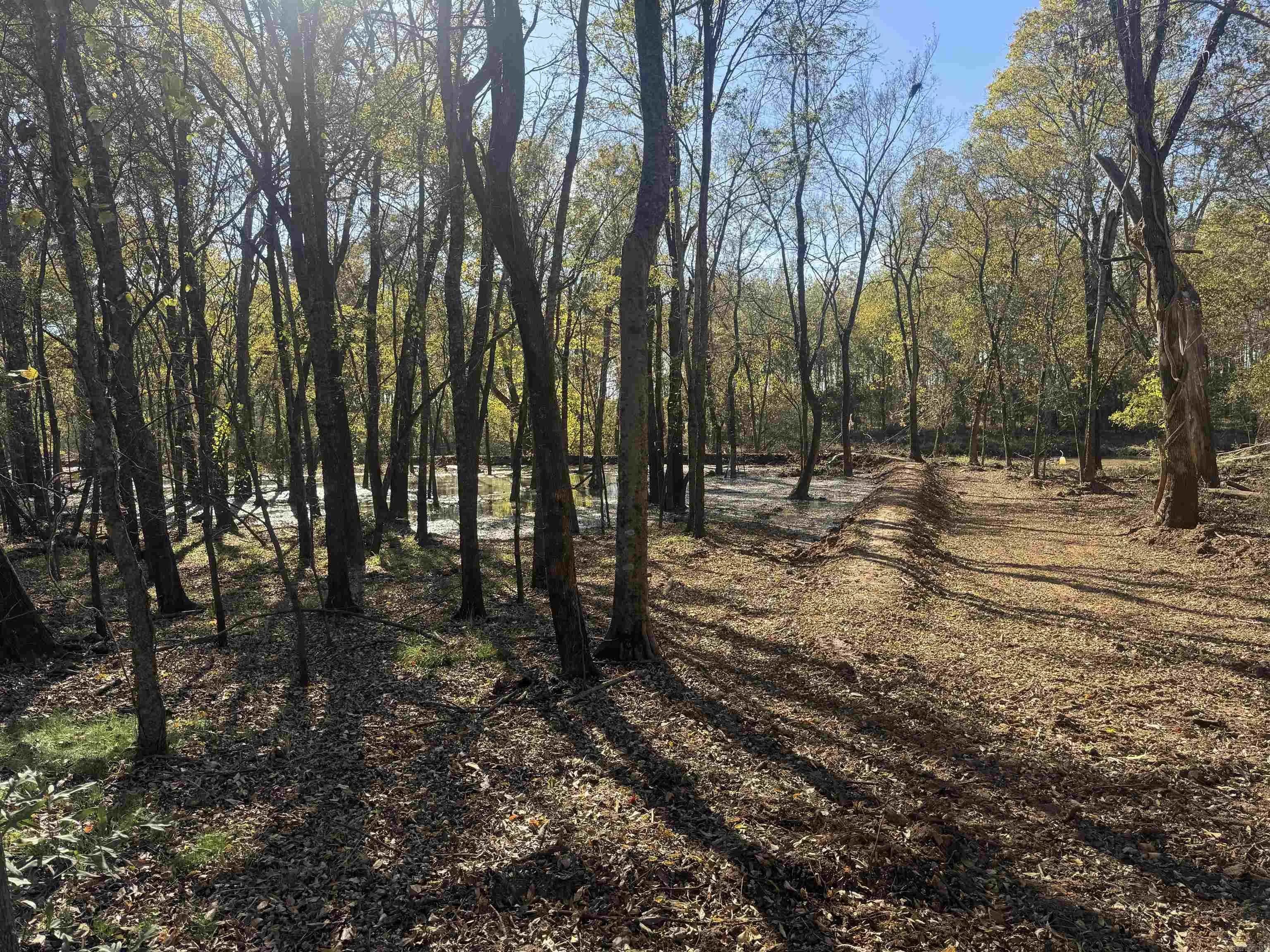 Property at 000  Alex brown rd - Image 10