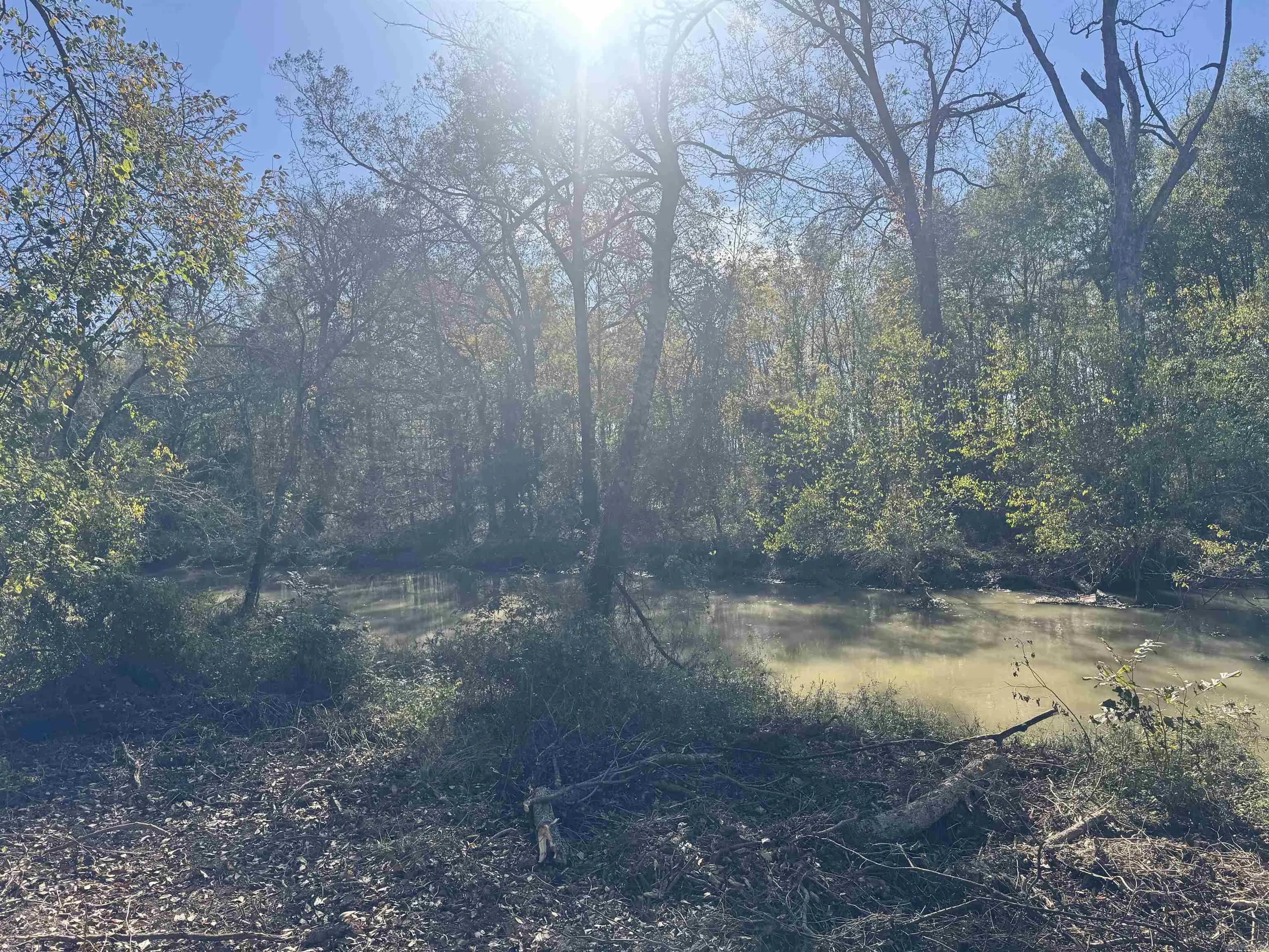 Property at 000  Alex brown rd - Image 6