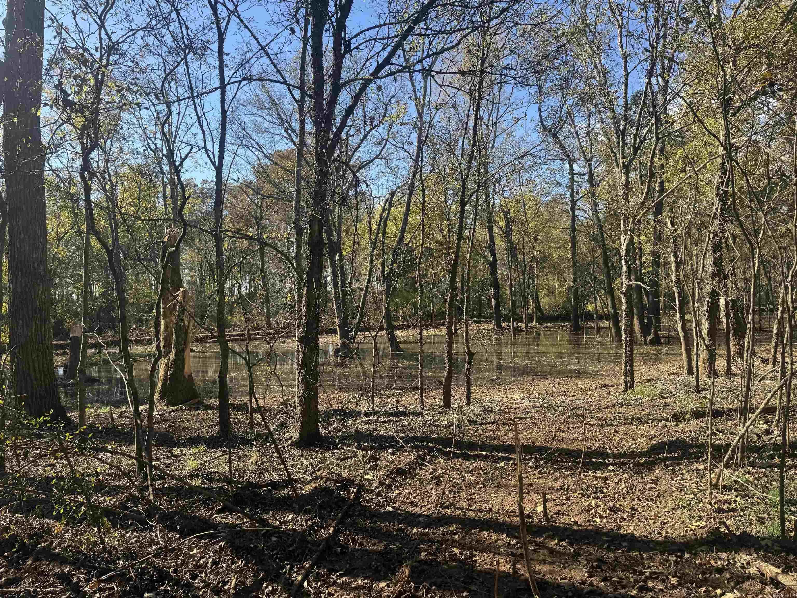Property at 000  Alex brown rd - Image 8
