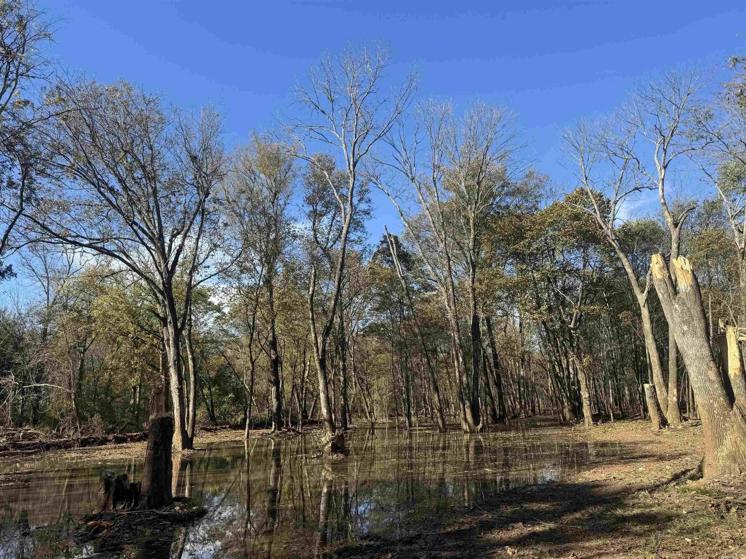 Property at 000  Alex brown rd - Image 46