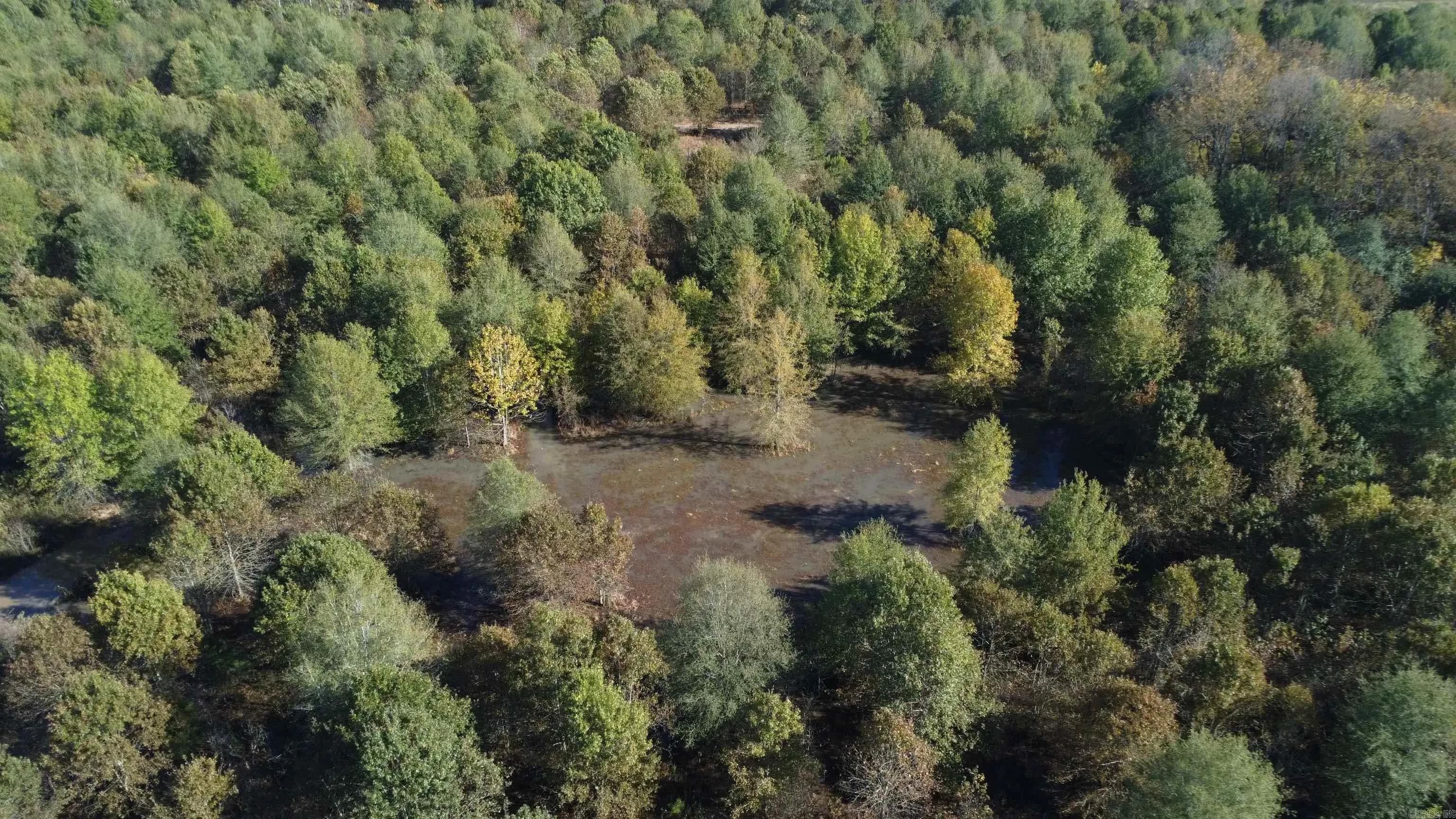 Property at 000  Alex brown rd - Image 40