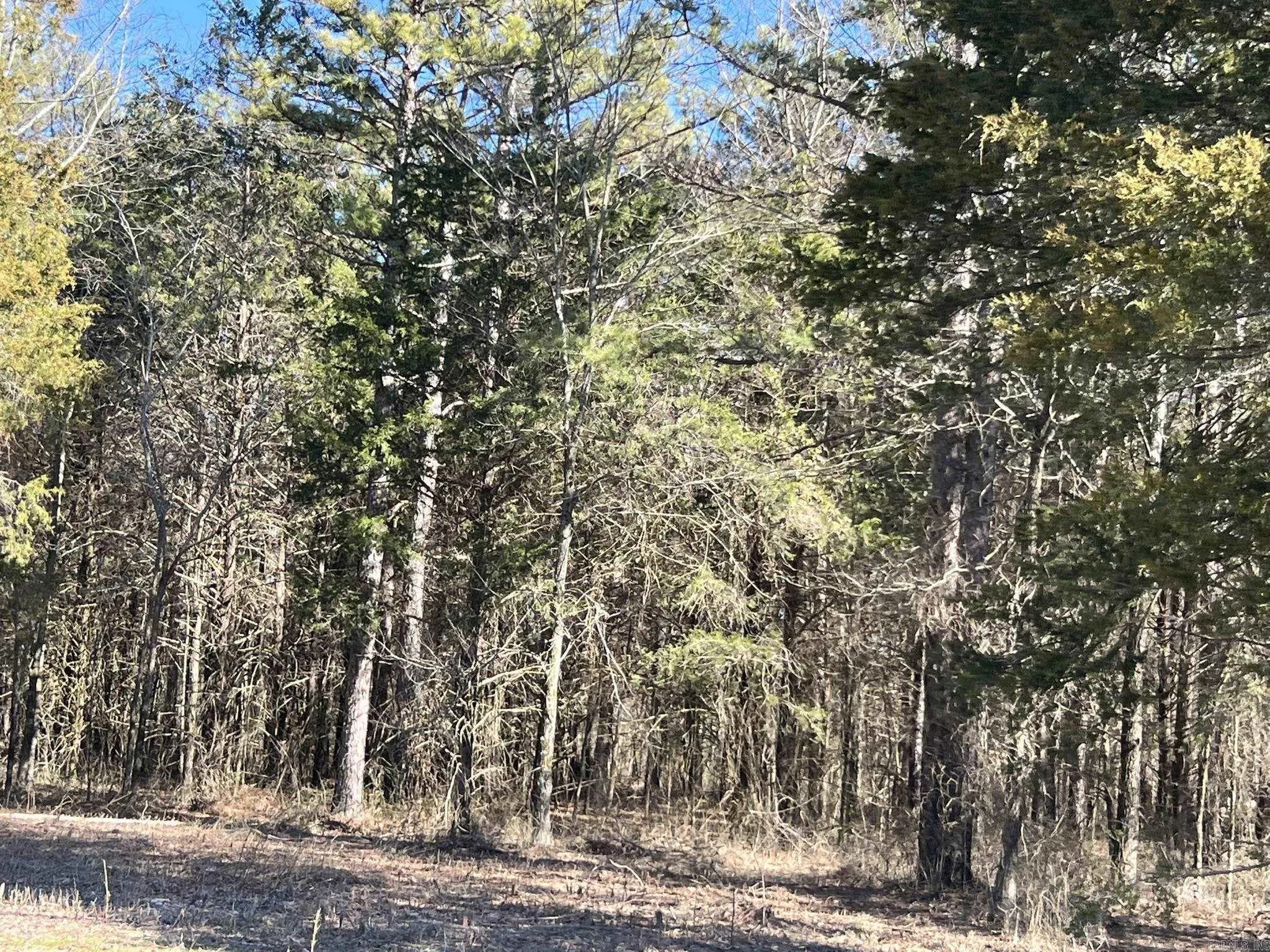 Property at 510  Old waters highway - Image 21