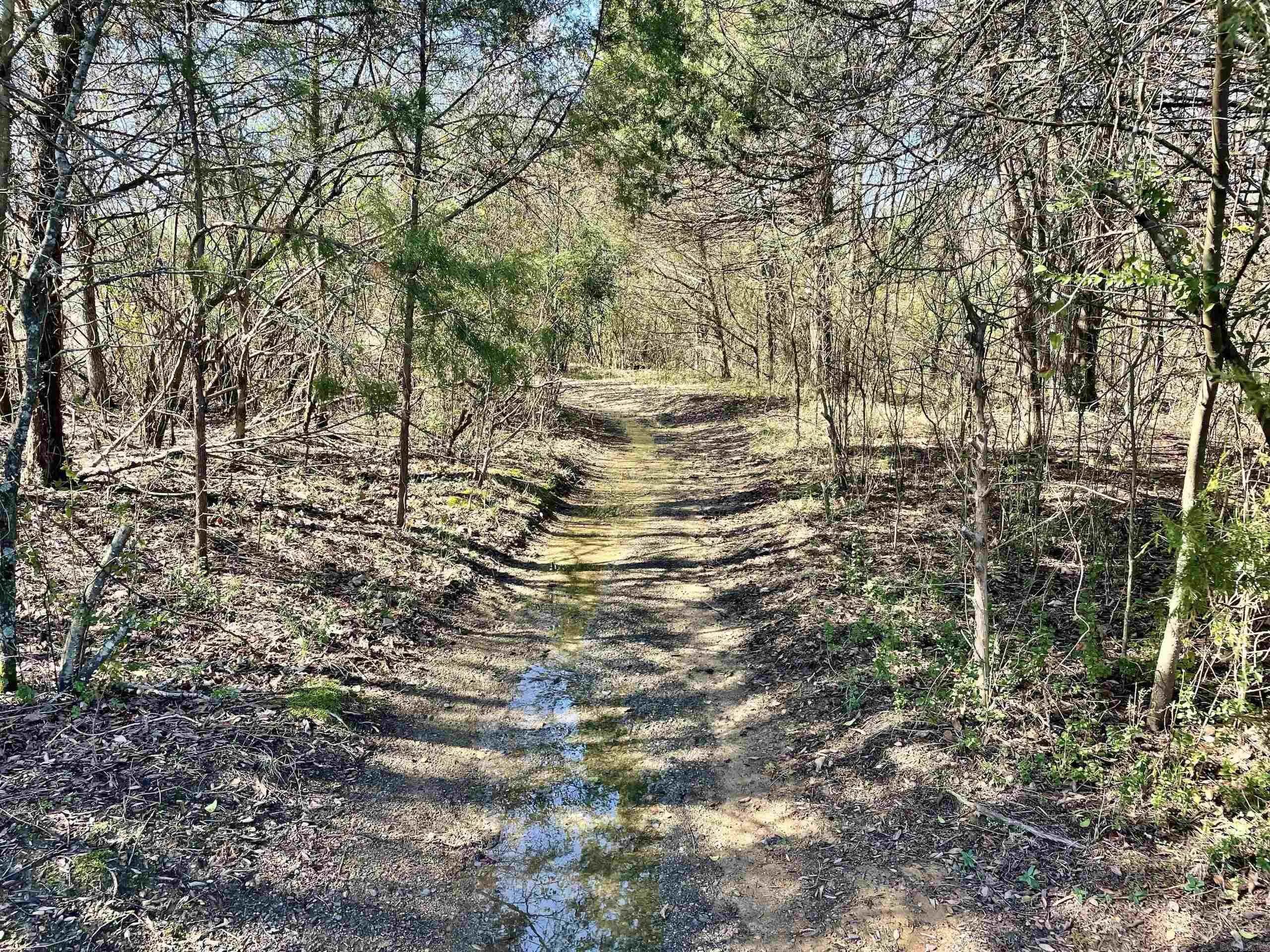 Property at 000  Brewer - Image 19