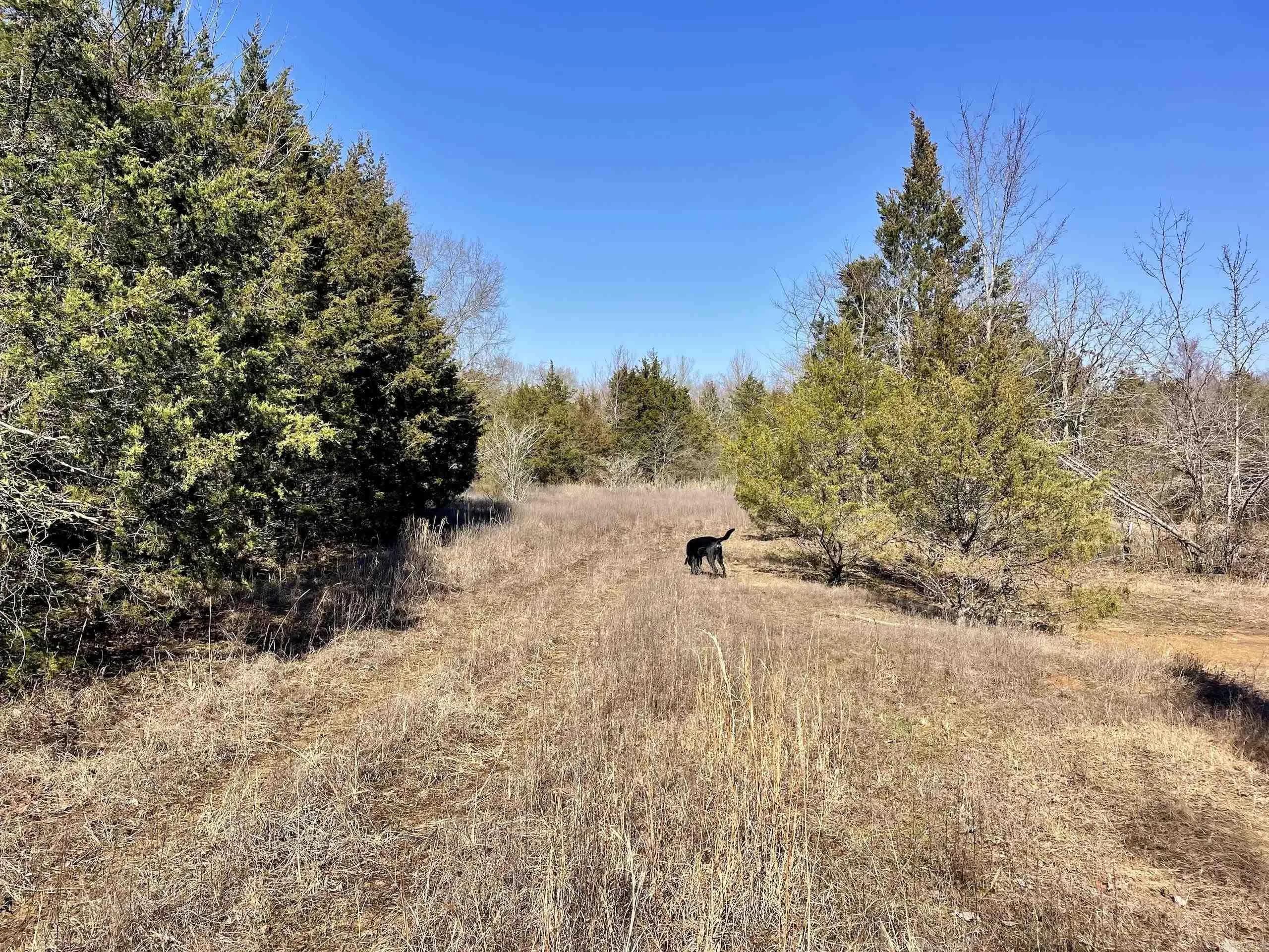 Property at 000  Brewer - Image 27