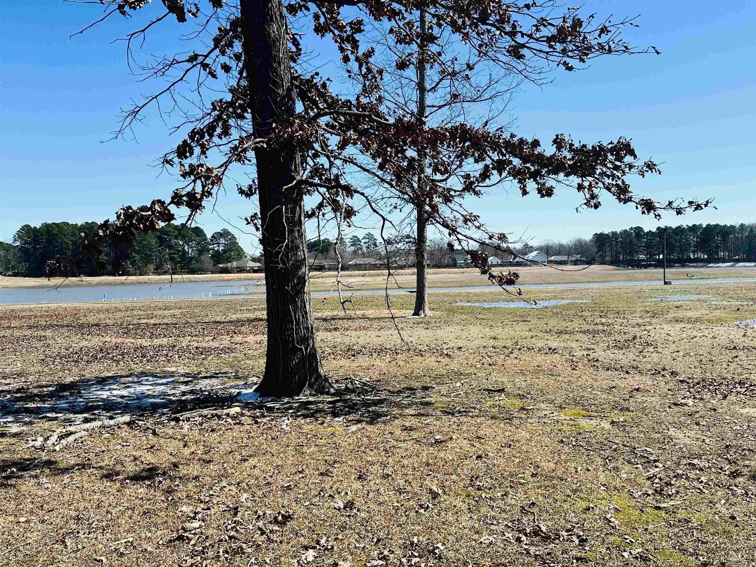 Property at 2006  Taylor - Image 39
