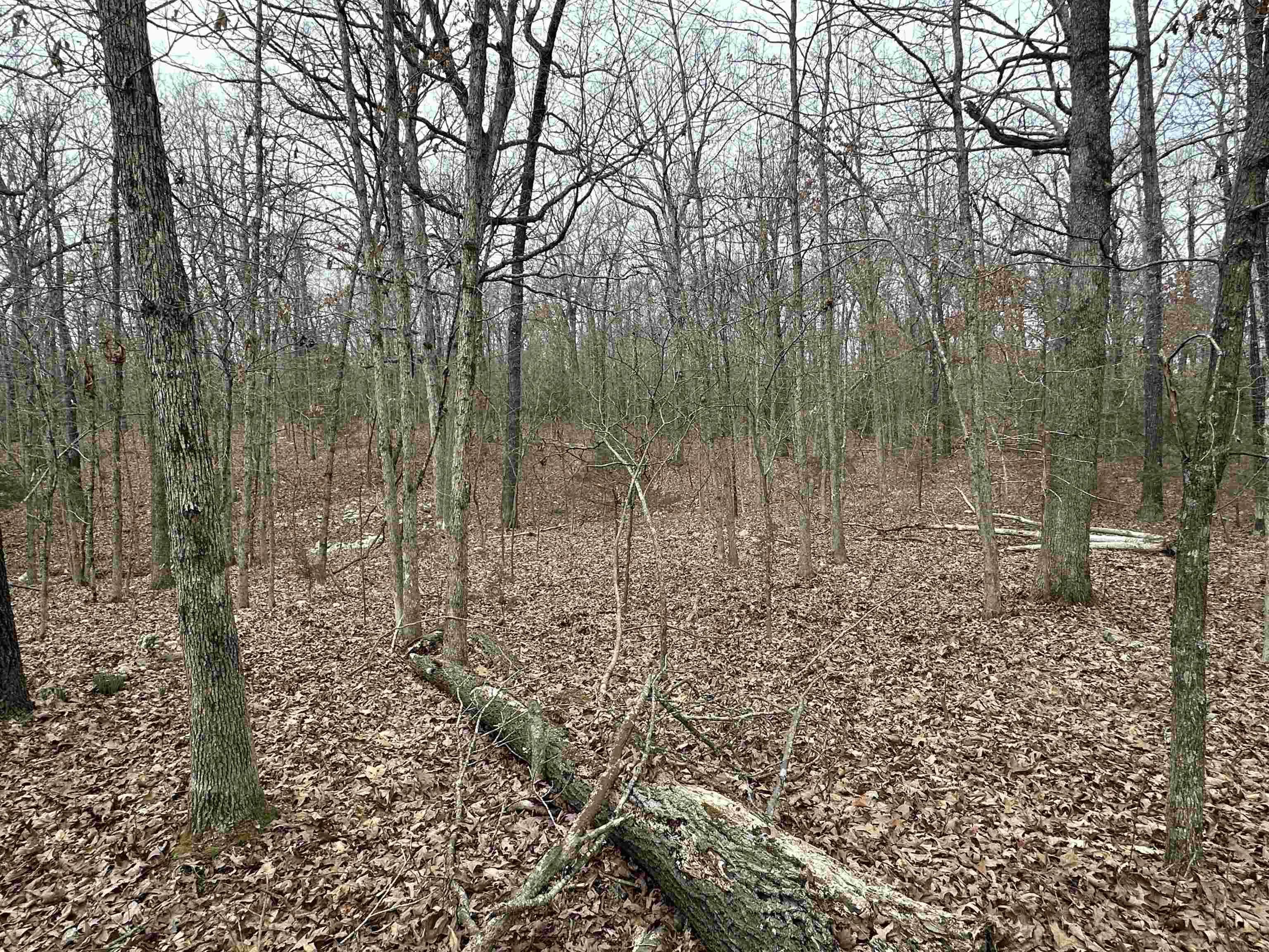 Property at 00A  Whispering oaks - Image 35