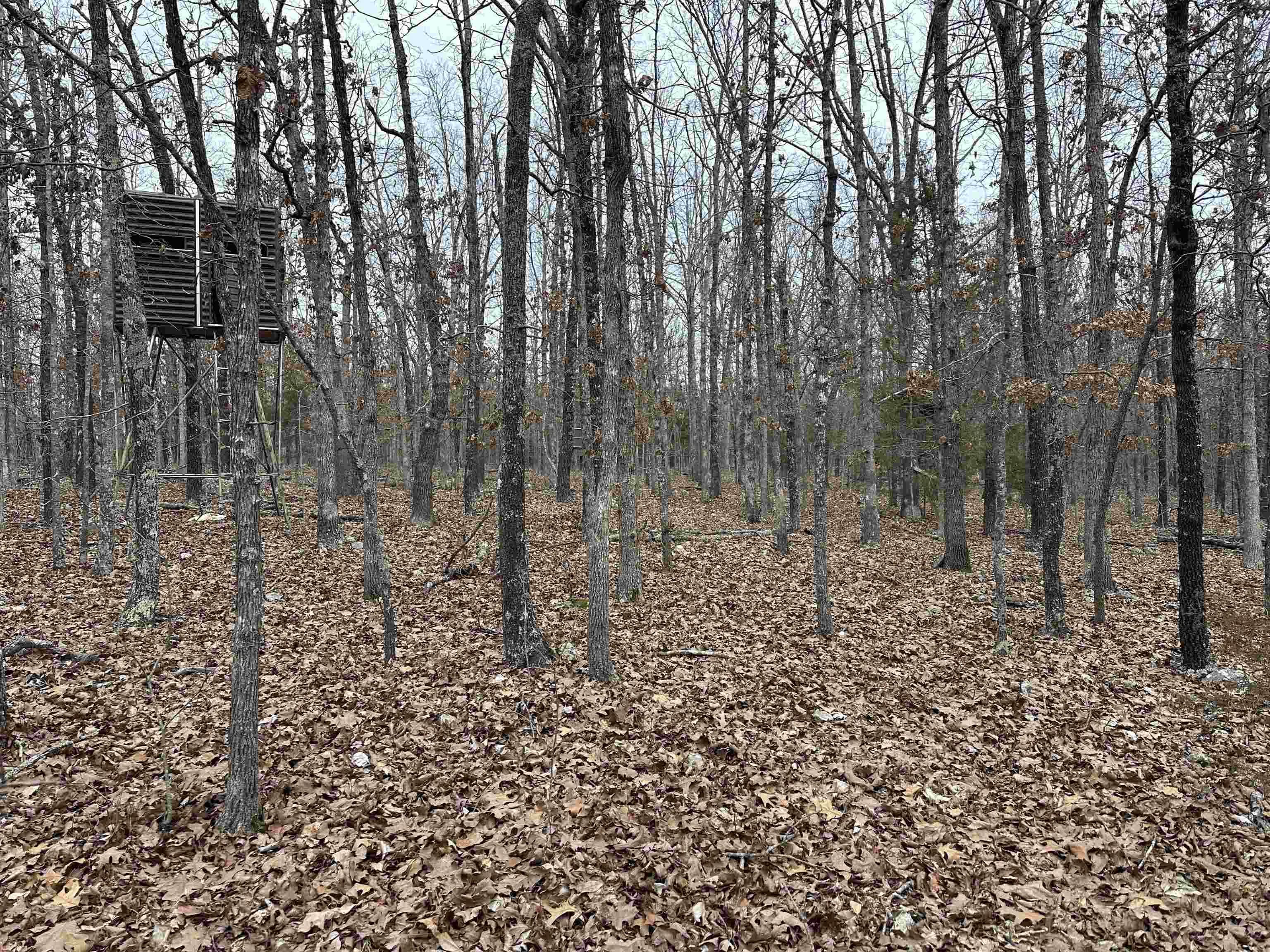 Property at 00A  Whispering oaks - Image 18