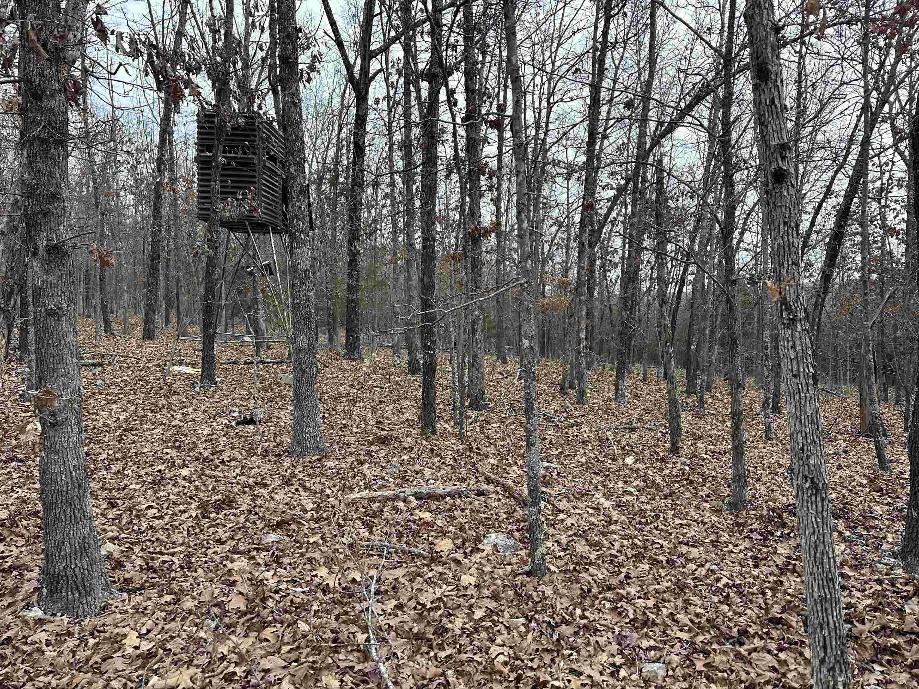 Property at 00A  Whispering oaks - Image 23