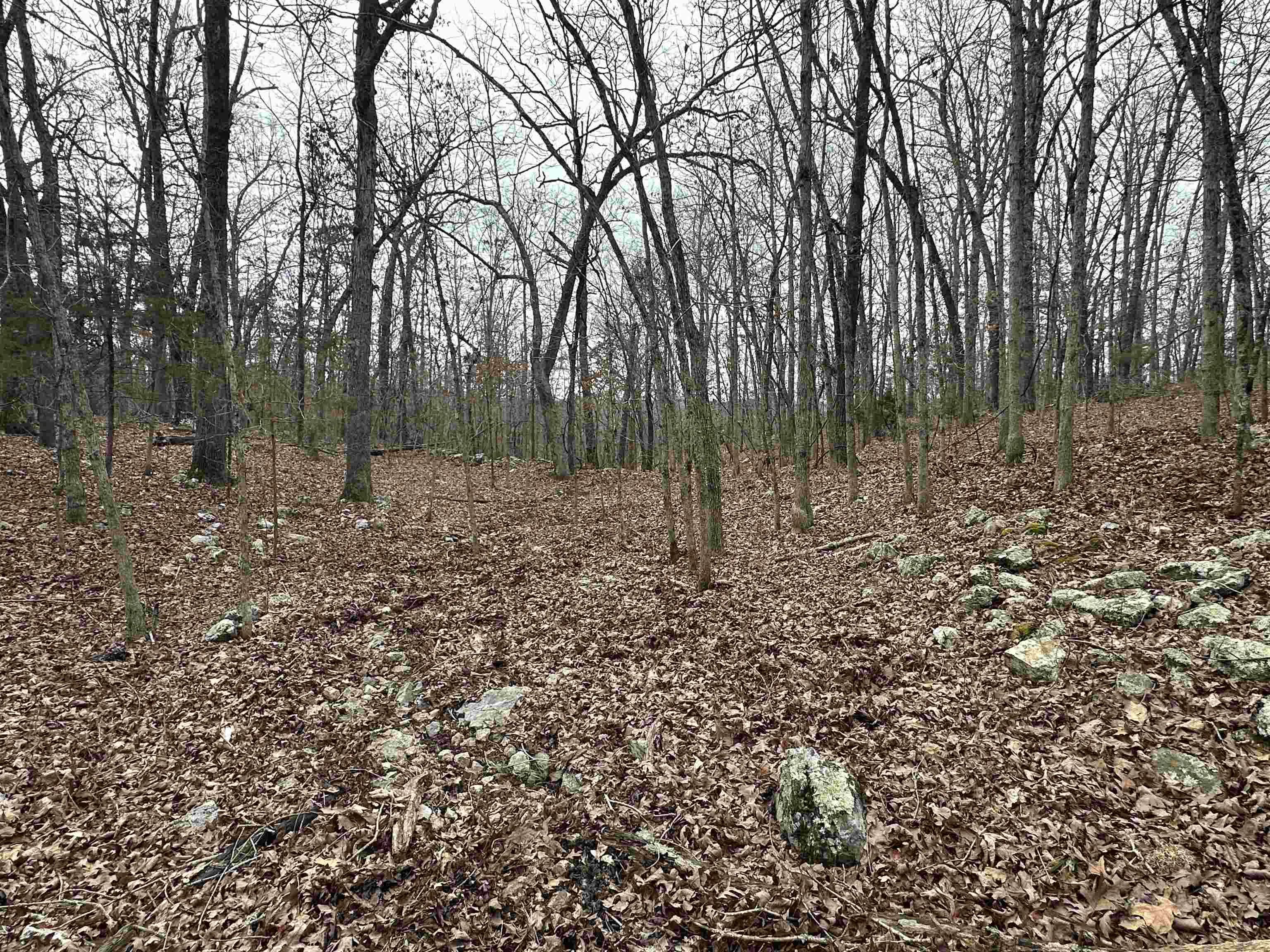 Property at 00A  Whispering oaks - Image 29