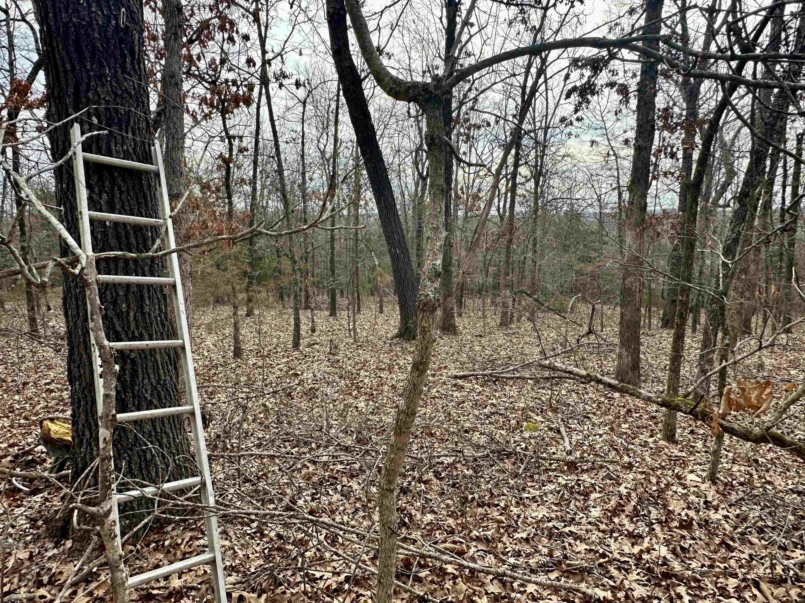 Property at 00A  Whispering oaks - Image 32