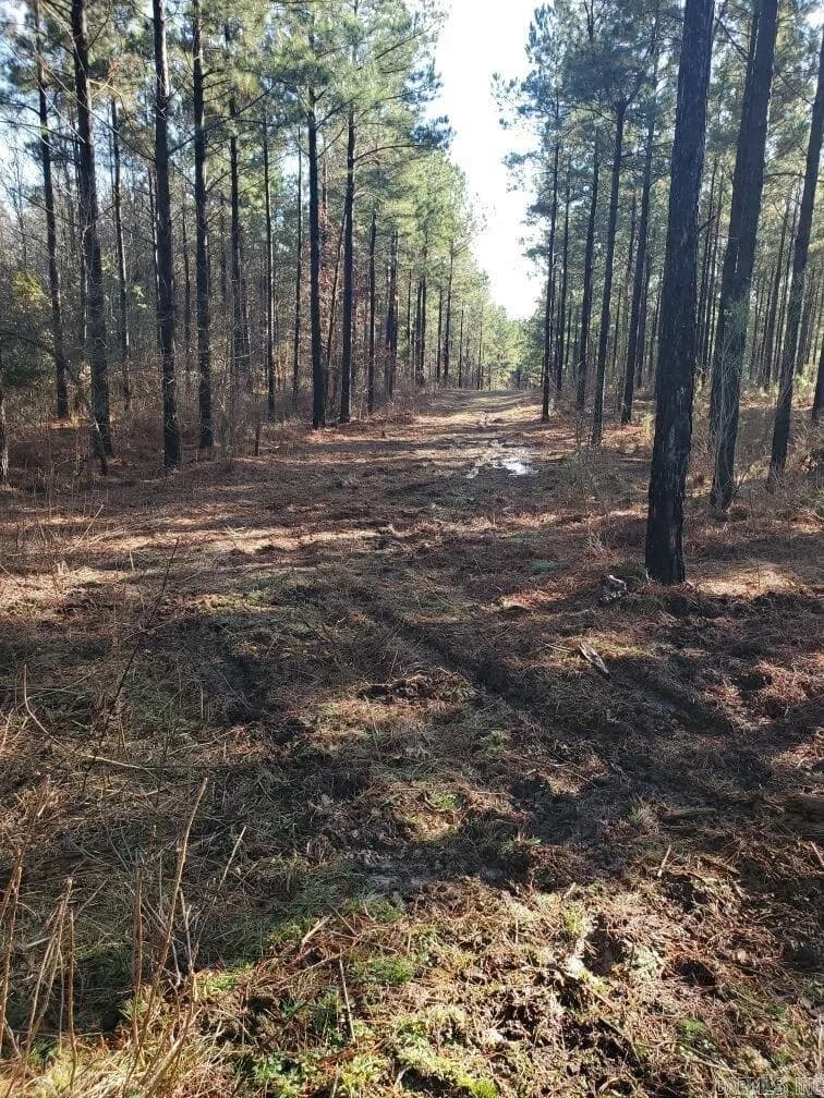 Property at Tract N  Polk road 31 - Image 10