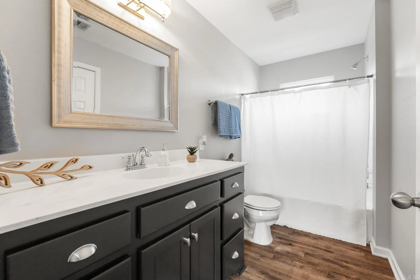 Property at 8645  Congo - Image 19