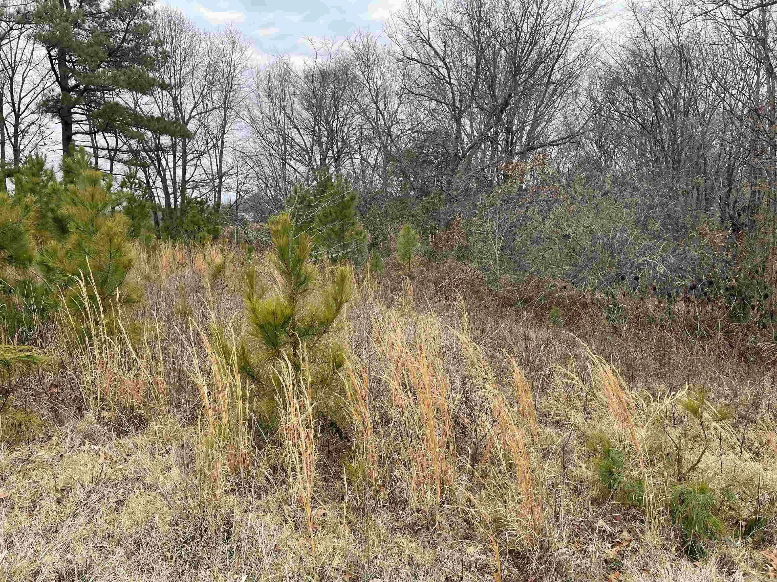 Property at 18814 bay village road cherry valley - Image 3
