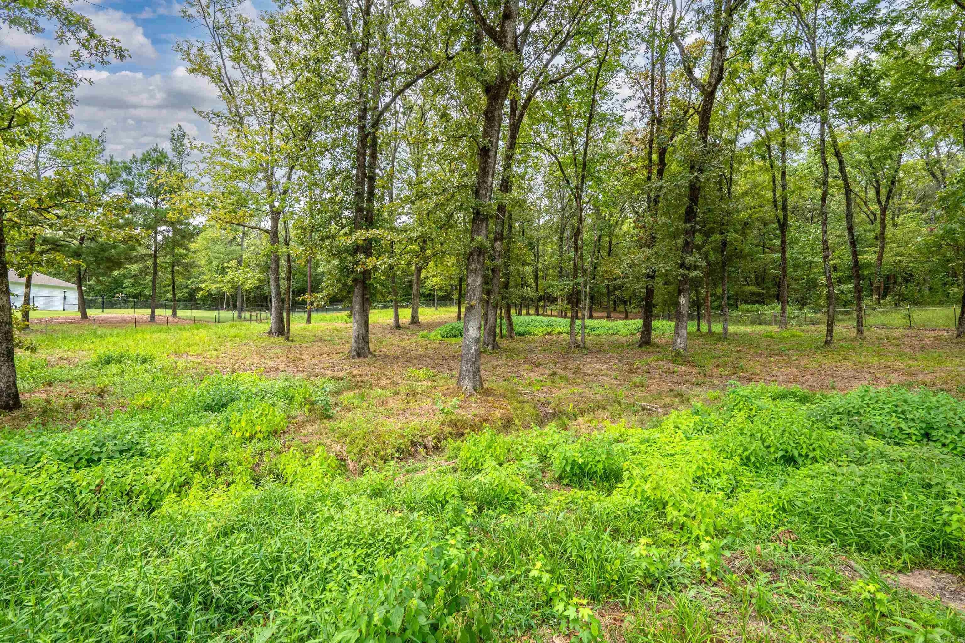 Property at 171  Brunswick - Image 31