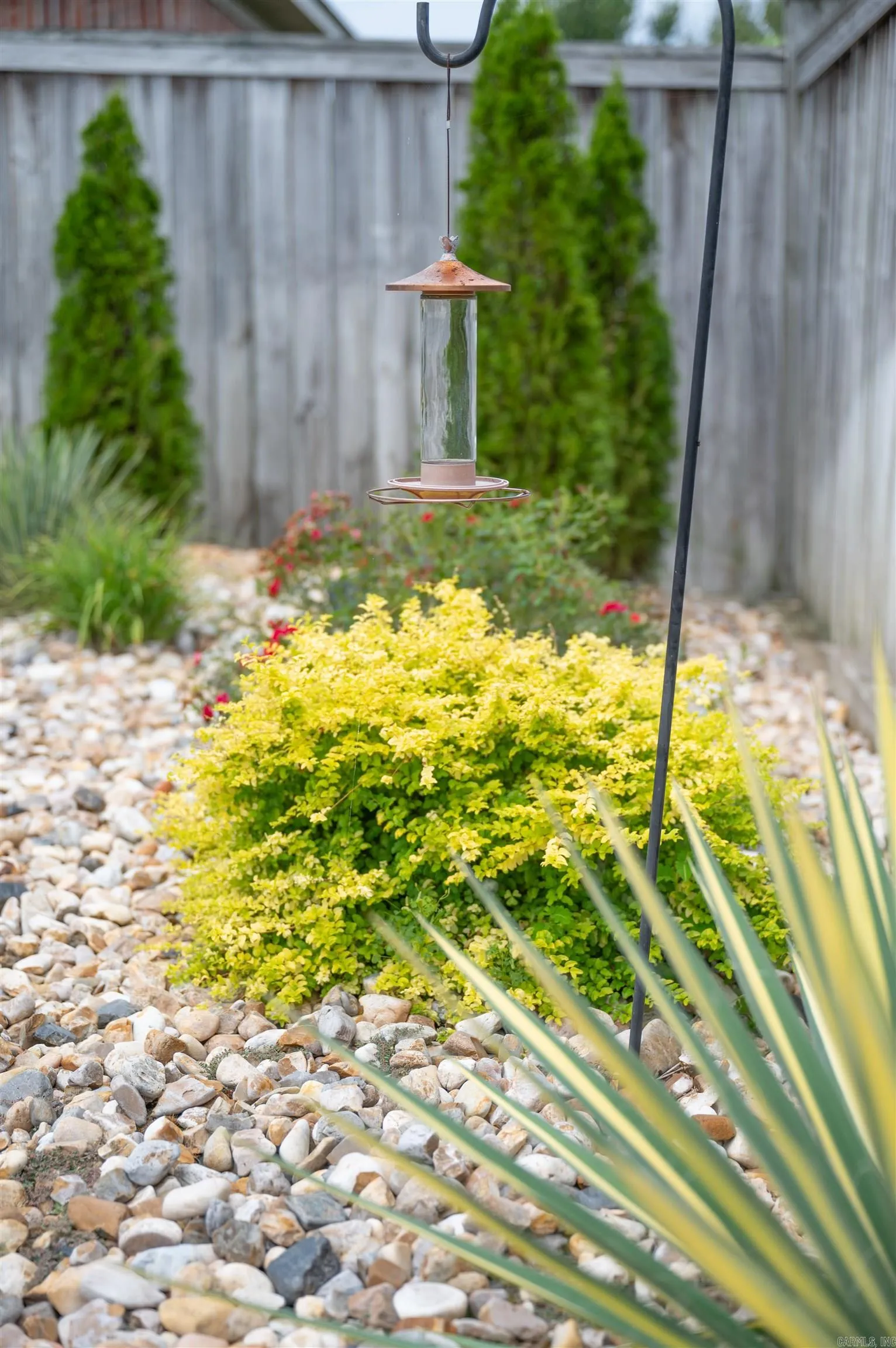 Property at 830  Cordoba - Image 13
