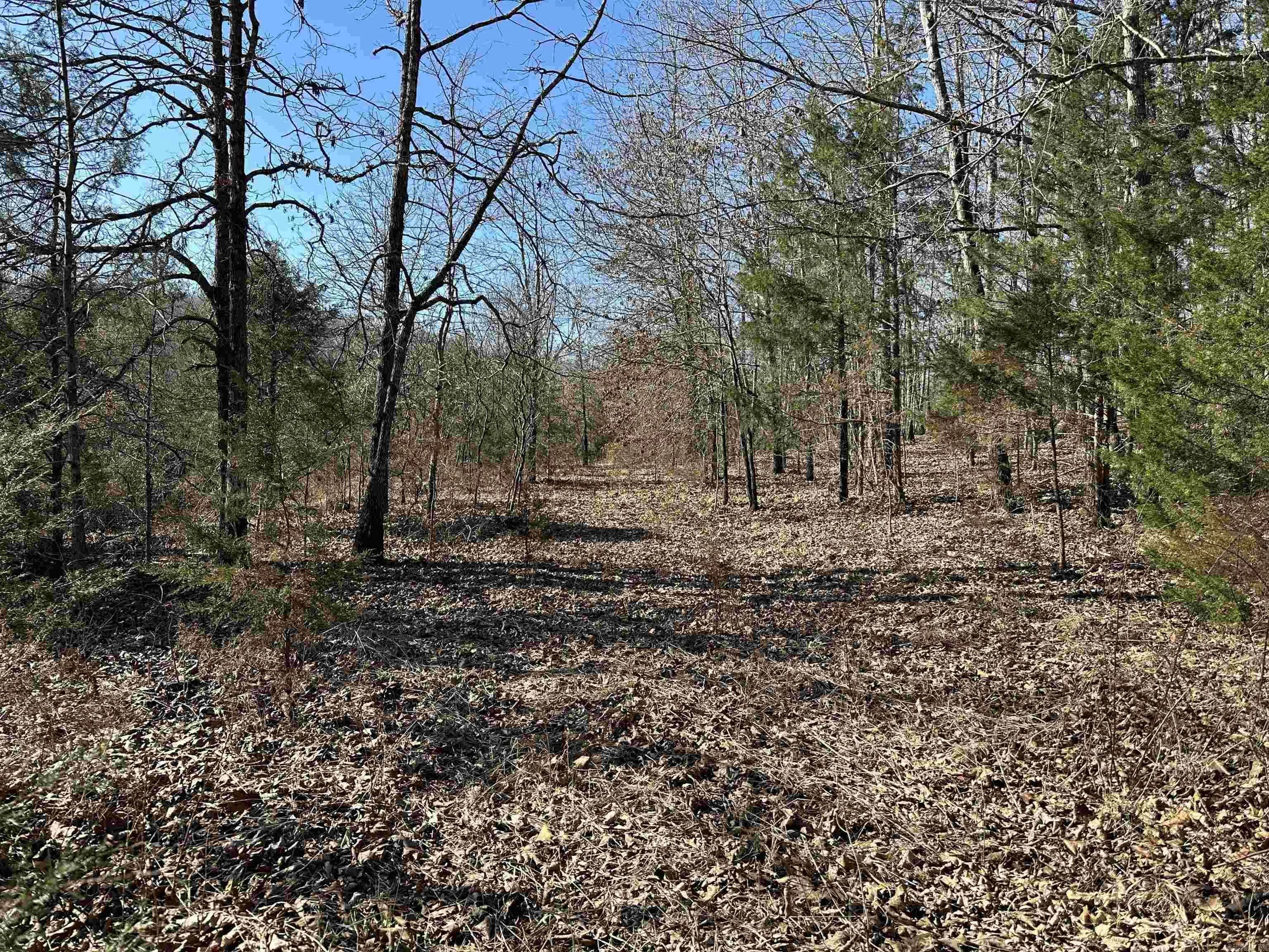 Property at 0  Law rd 102 - Image 12