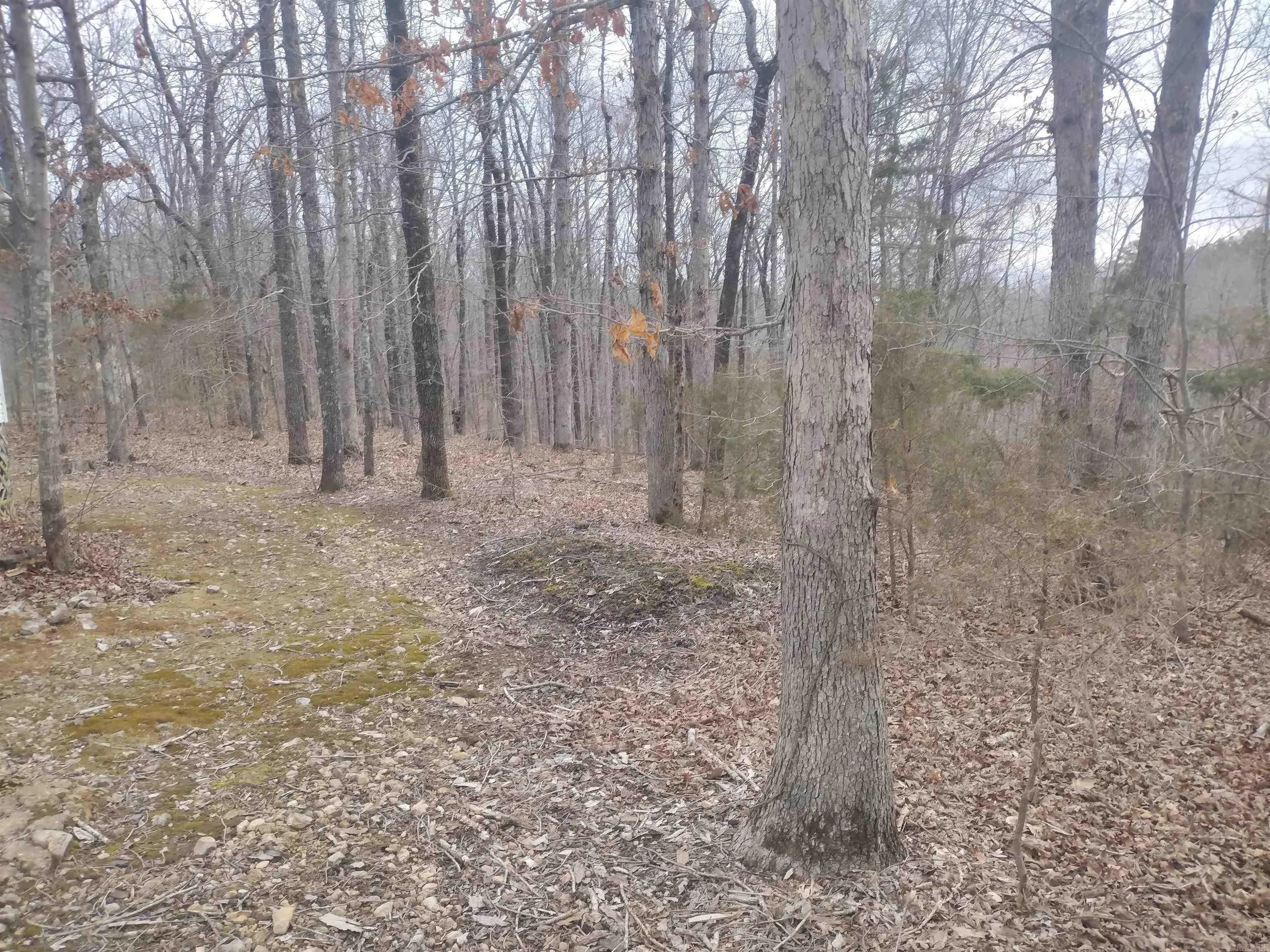 Property at 152  Wolf king rd - Image 32
