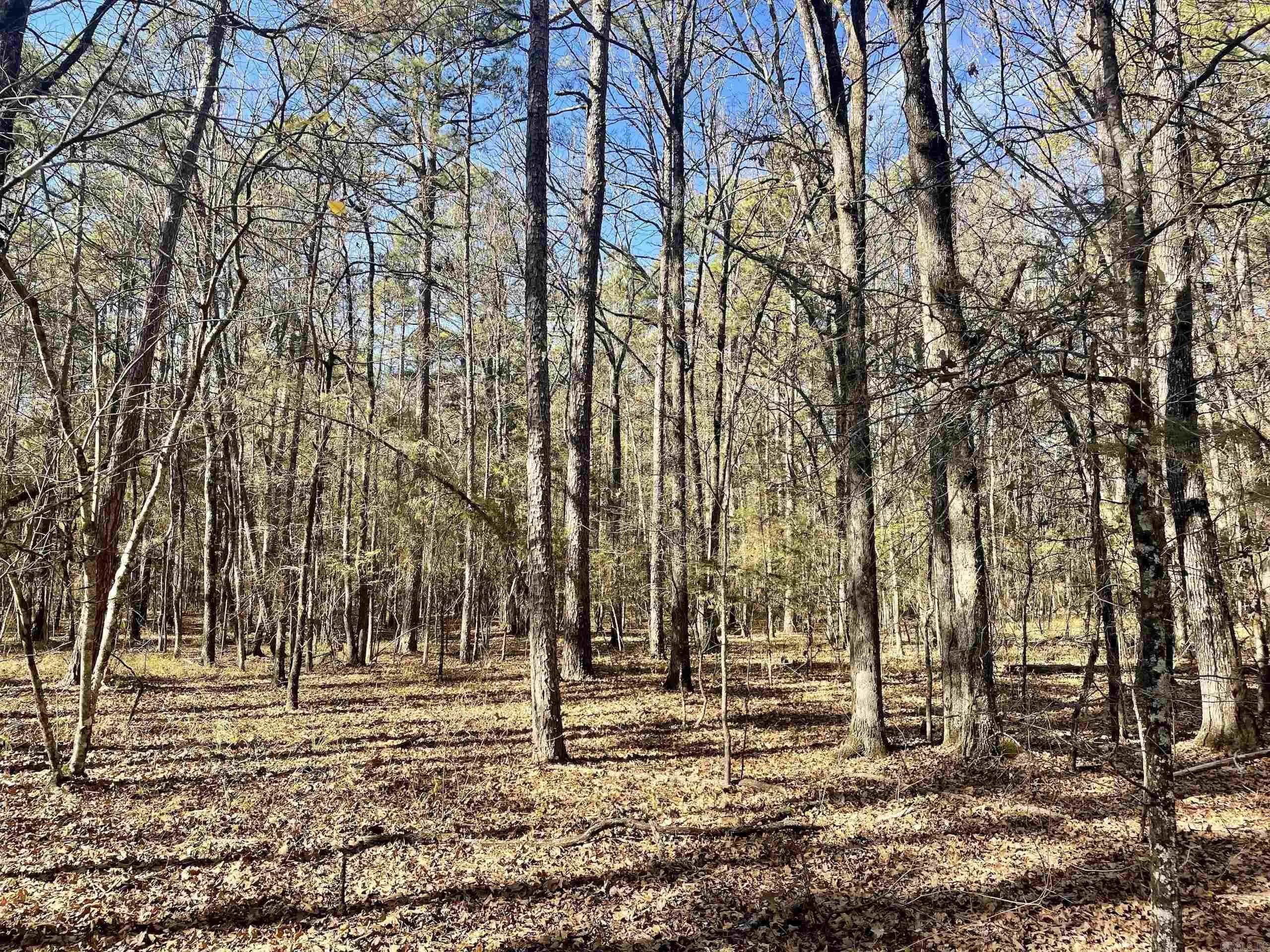 Property at 000  State hwy 60 - Image 20