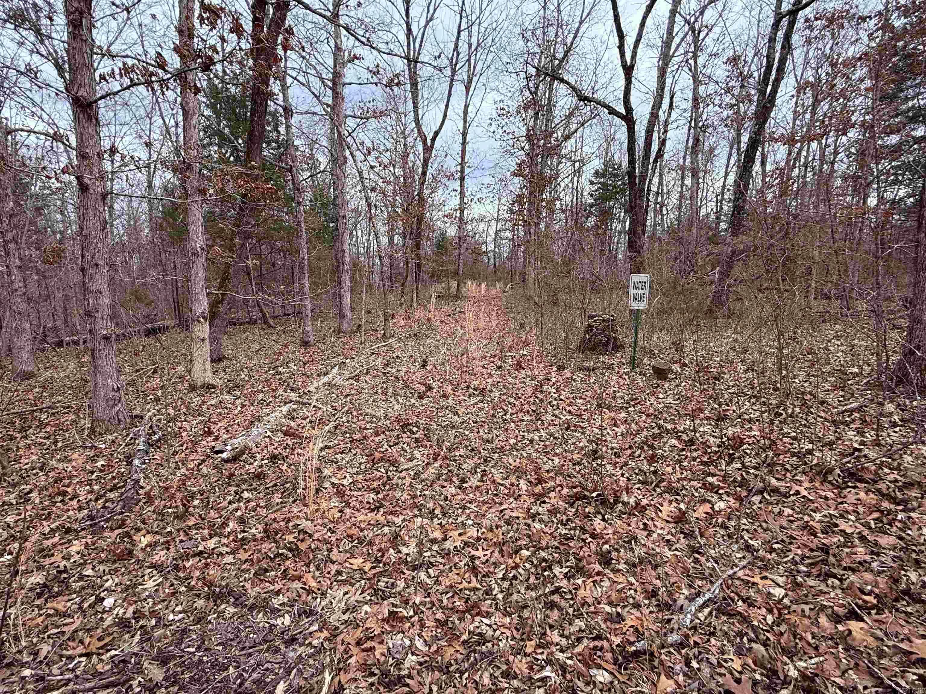Property at 177A  Highway 58 - Image 8