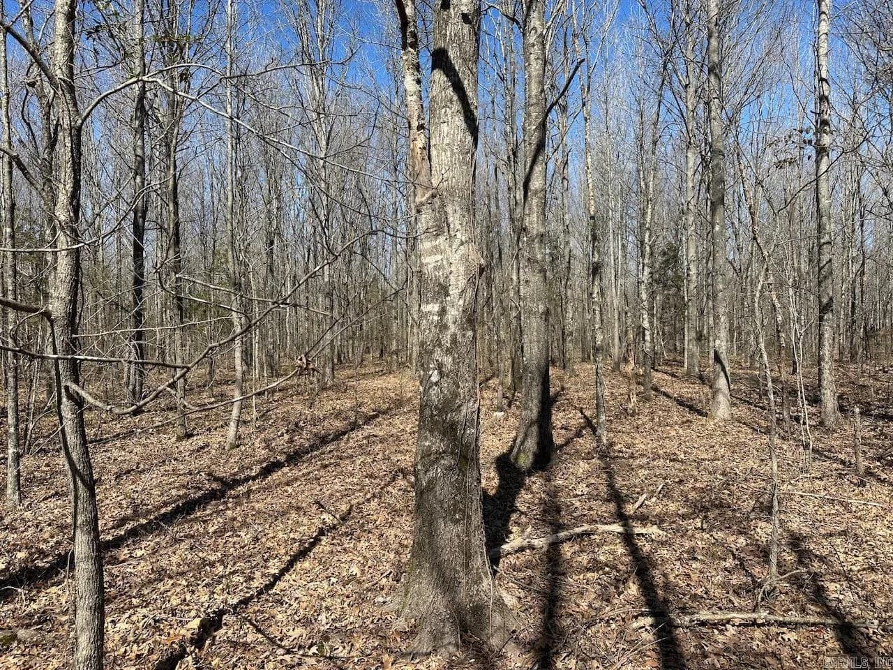 Property at 000  Anderson - Image 19