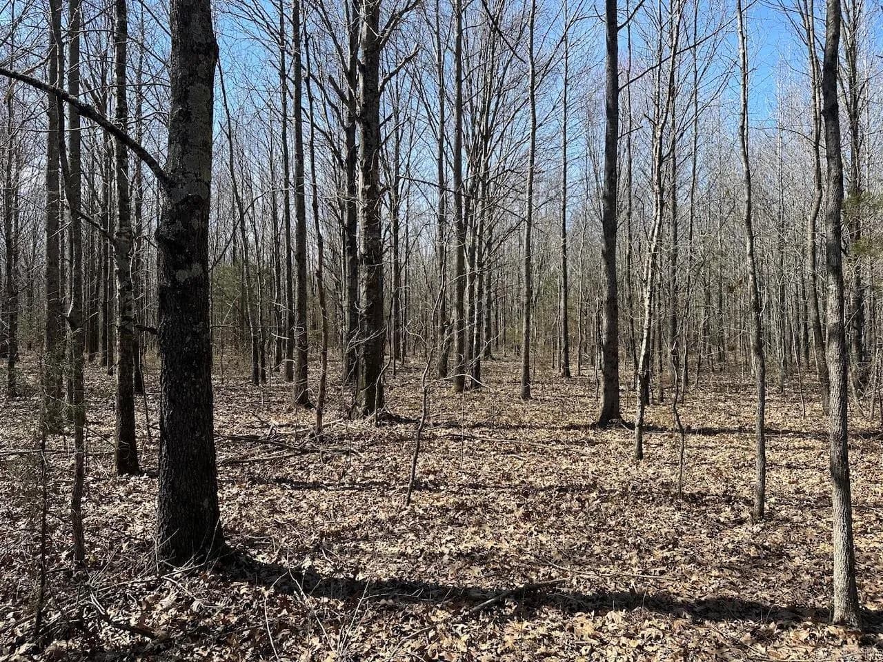 Property at 000  Anderson - Image 16