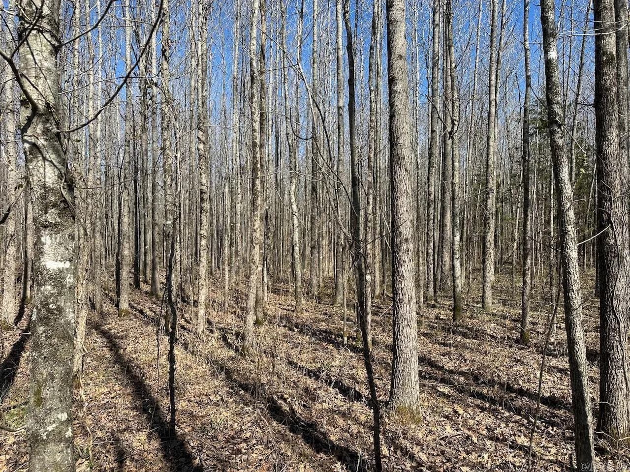 Property at 000  Anderson - Image 22