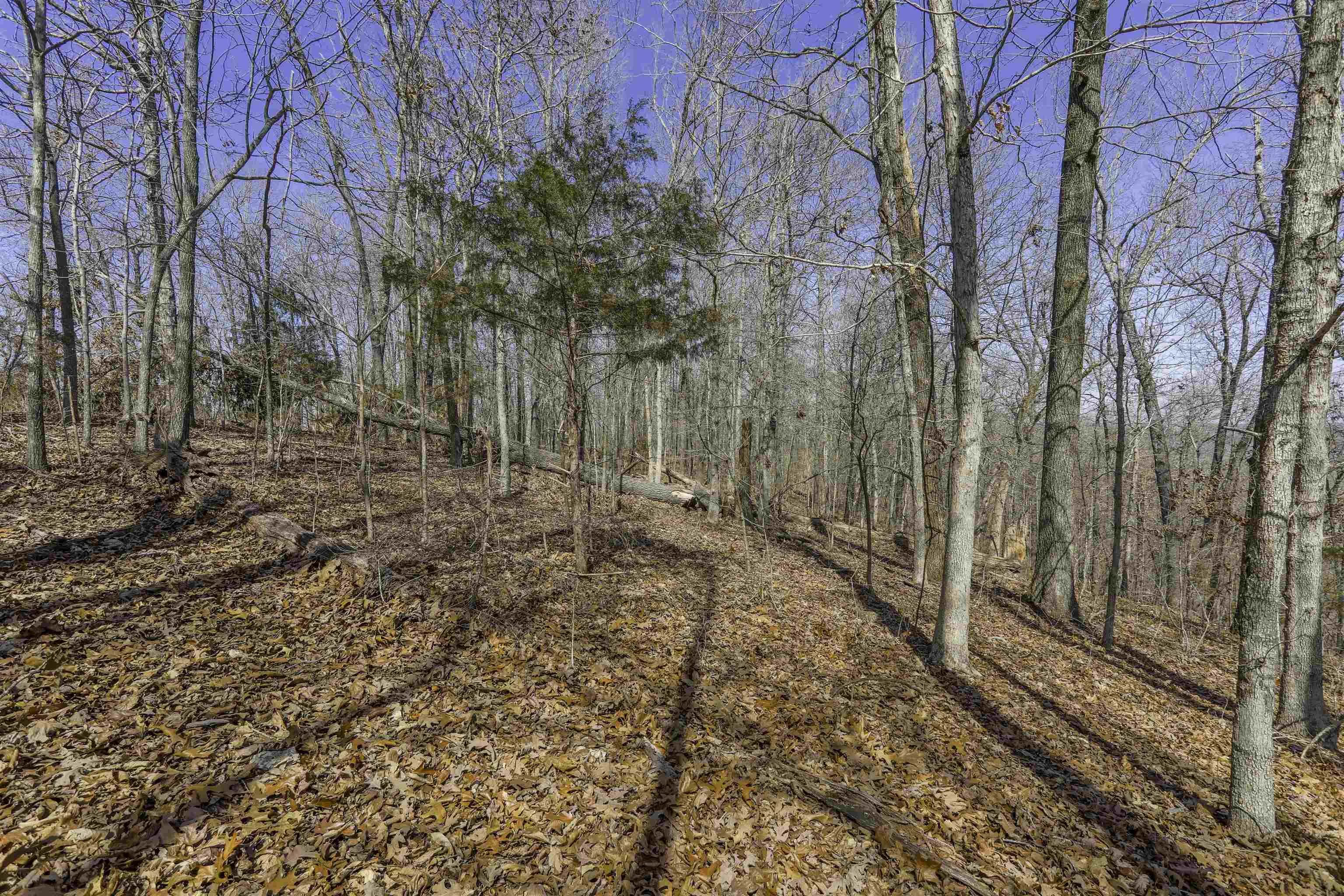 Property at TBD  Chism - Image 2