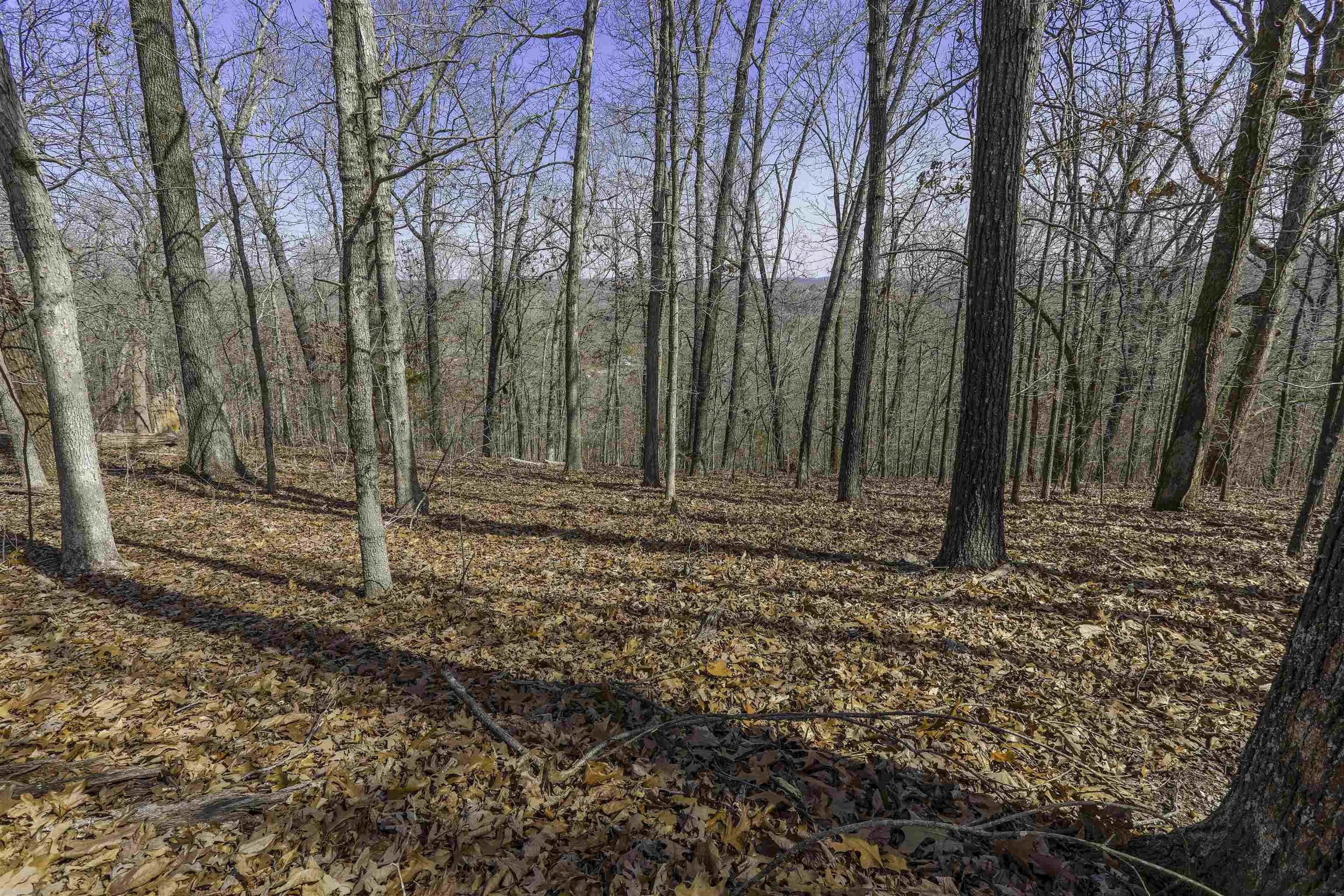 Property at TBD  Chism - Image 4