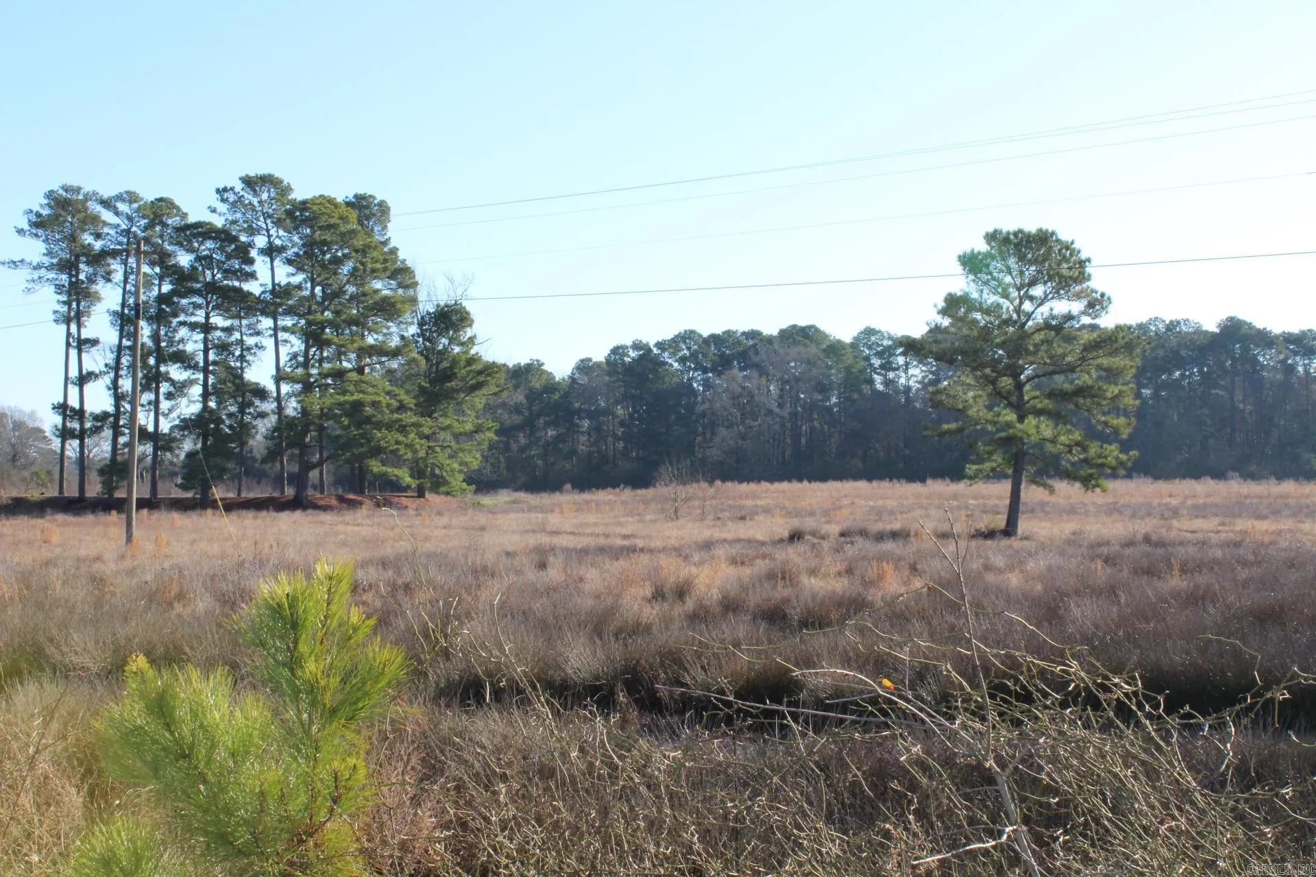 Property at 109  Cedar lane - Image 6