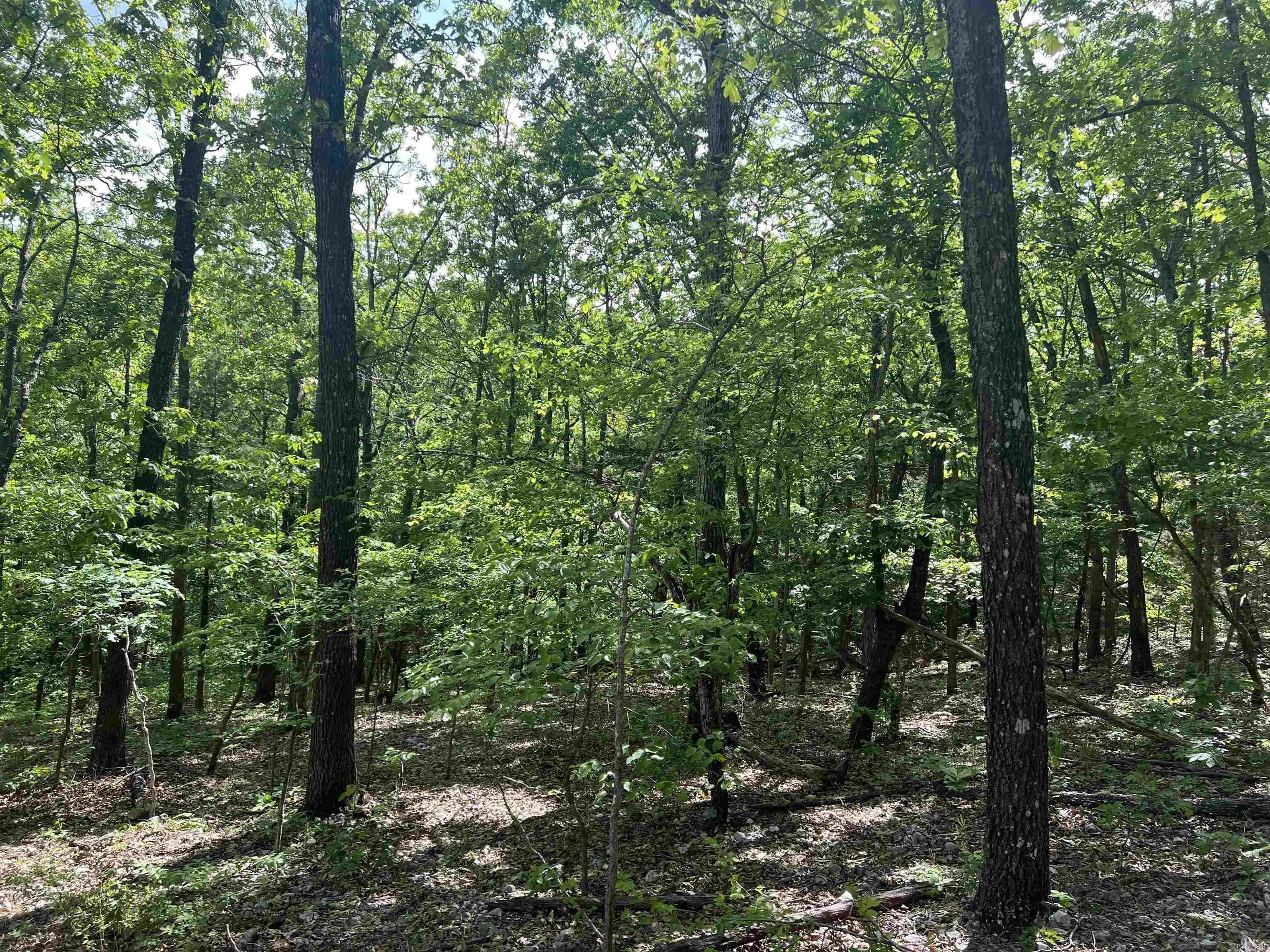 Property at Cr 2909 - Image 6