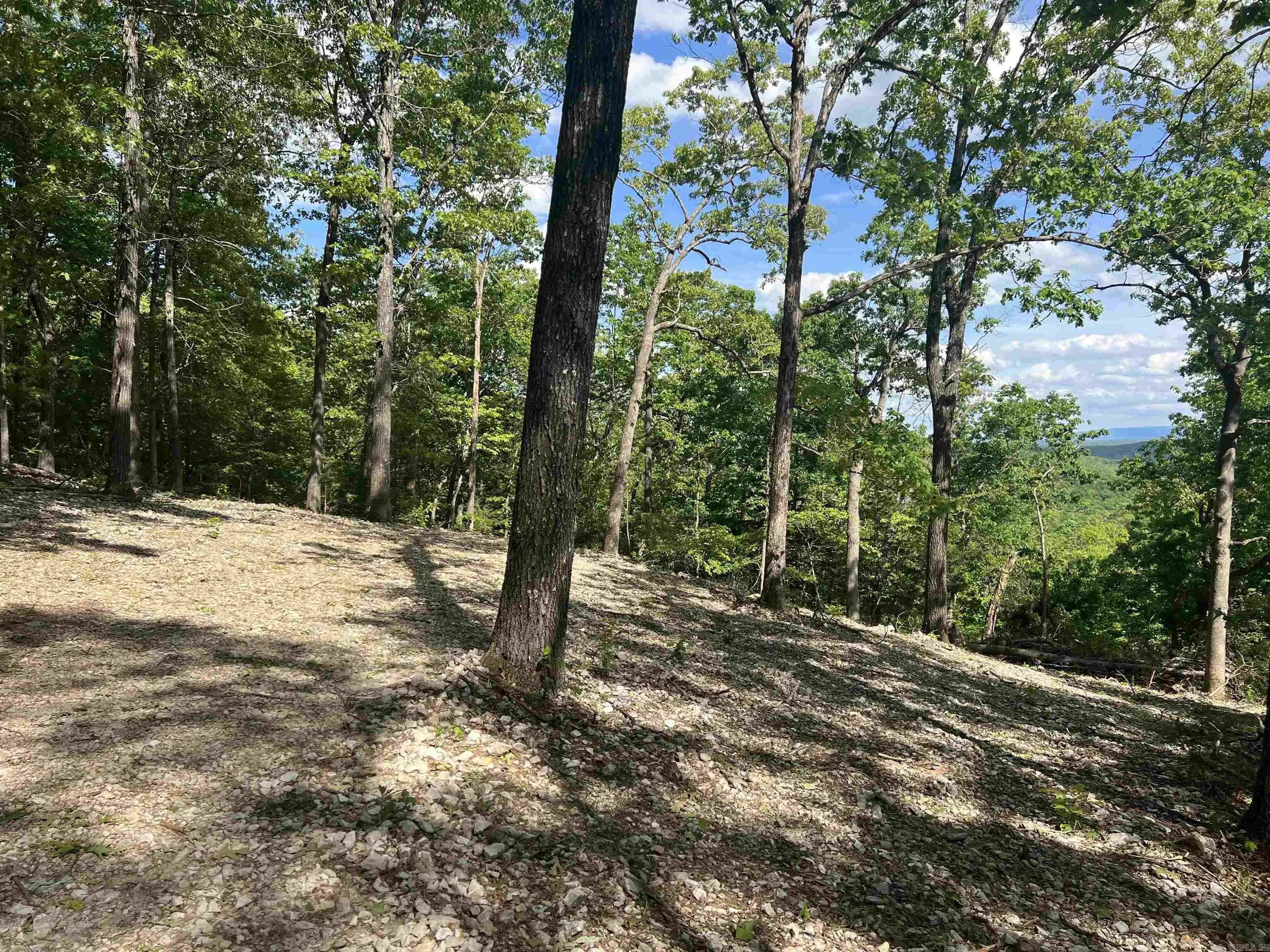 Property at Cr 2909 - Image 7